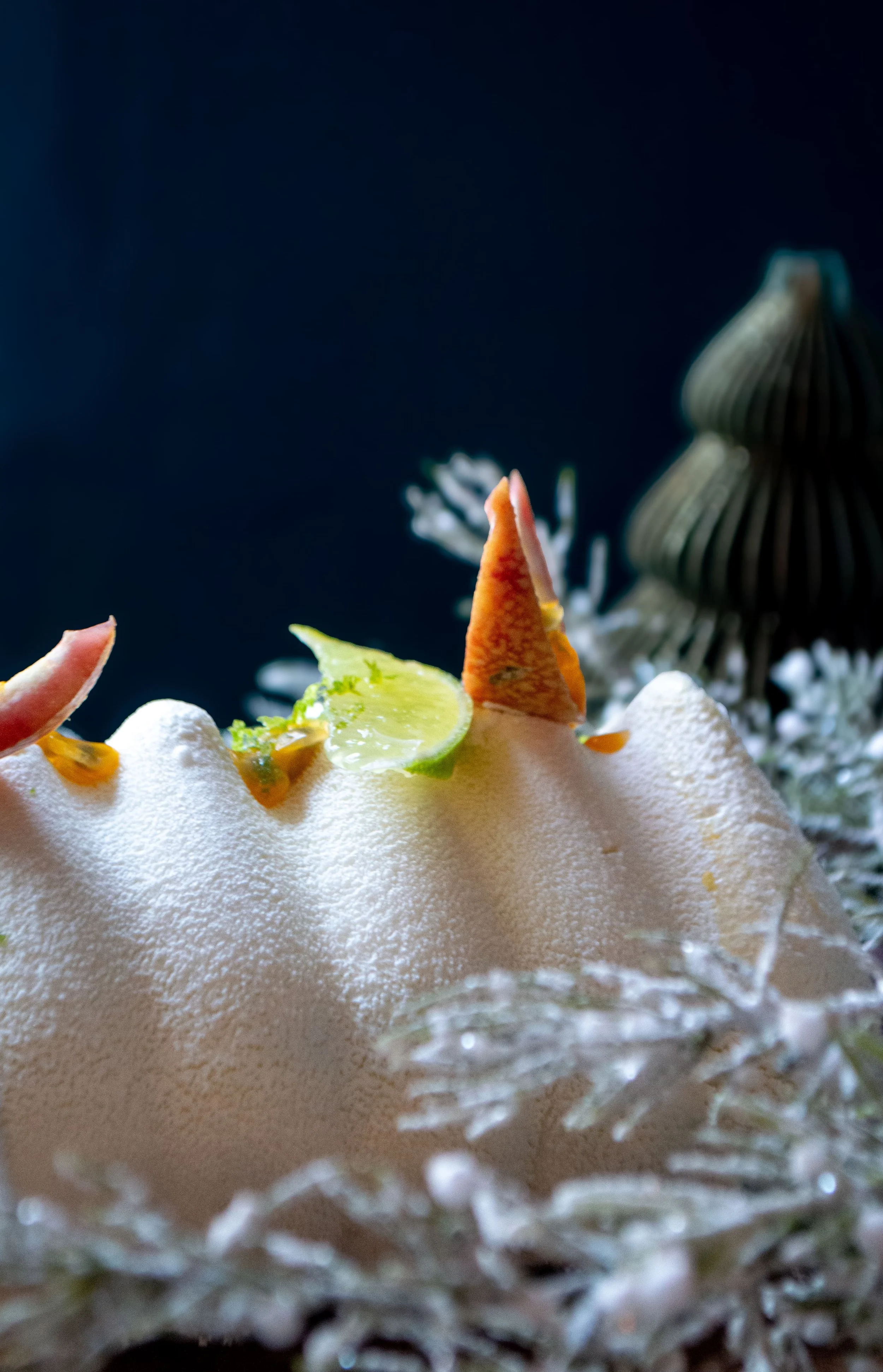 Morgane Gancedo © -10.jpg