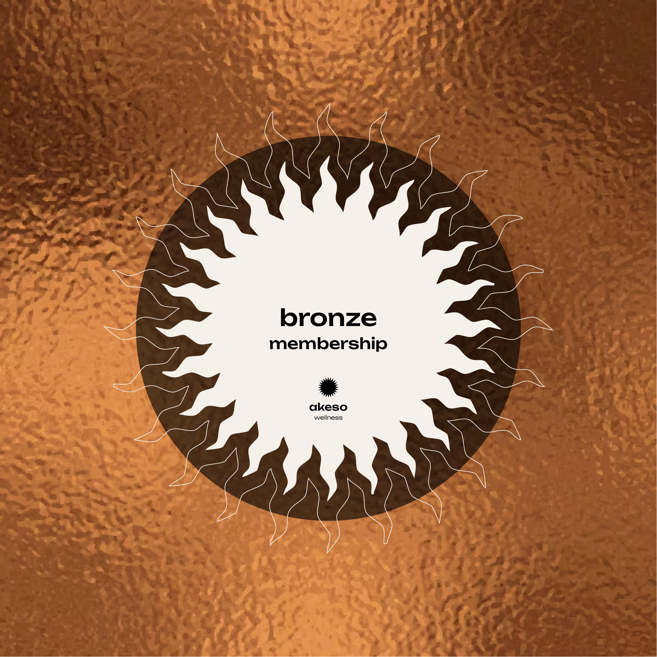 Memberships - Bronze.png