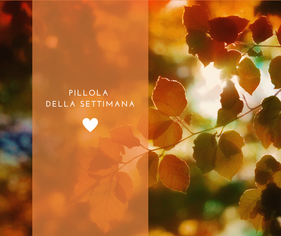 La maschera che indosso