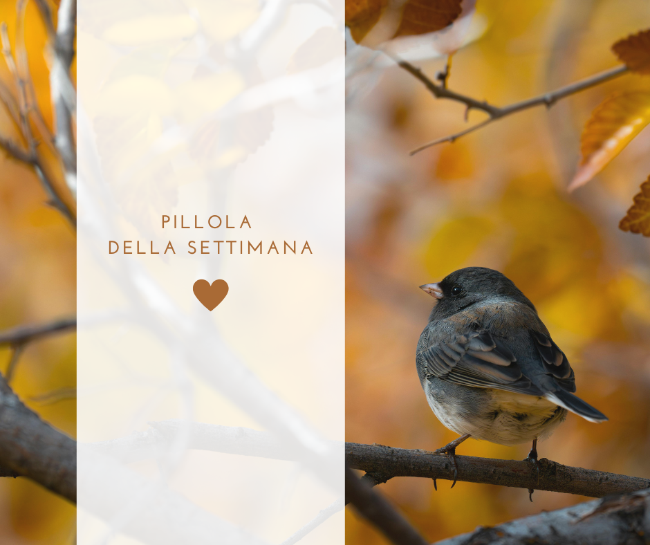 Il ruolo che non è il mio