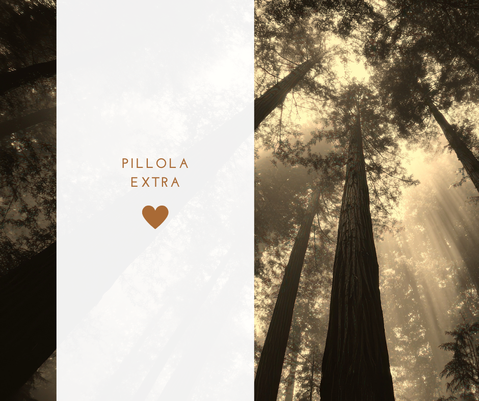 Santa Lucia – La luce che vede oltre
