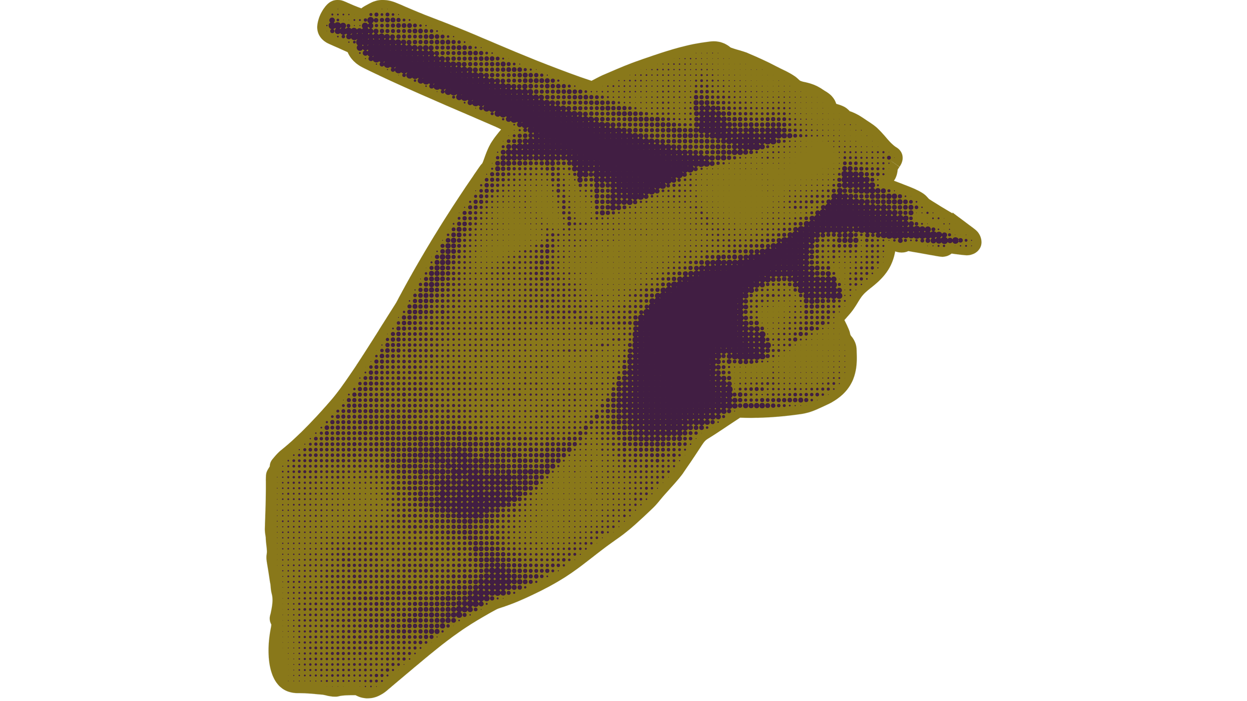 A stylized, dotted image of a human hand with the index finger extended, pointing to the right.
