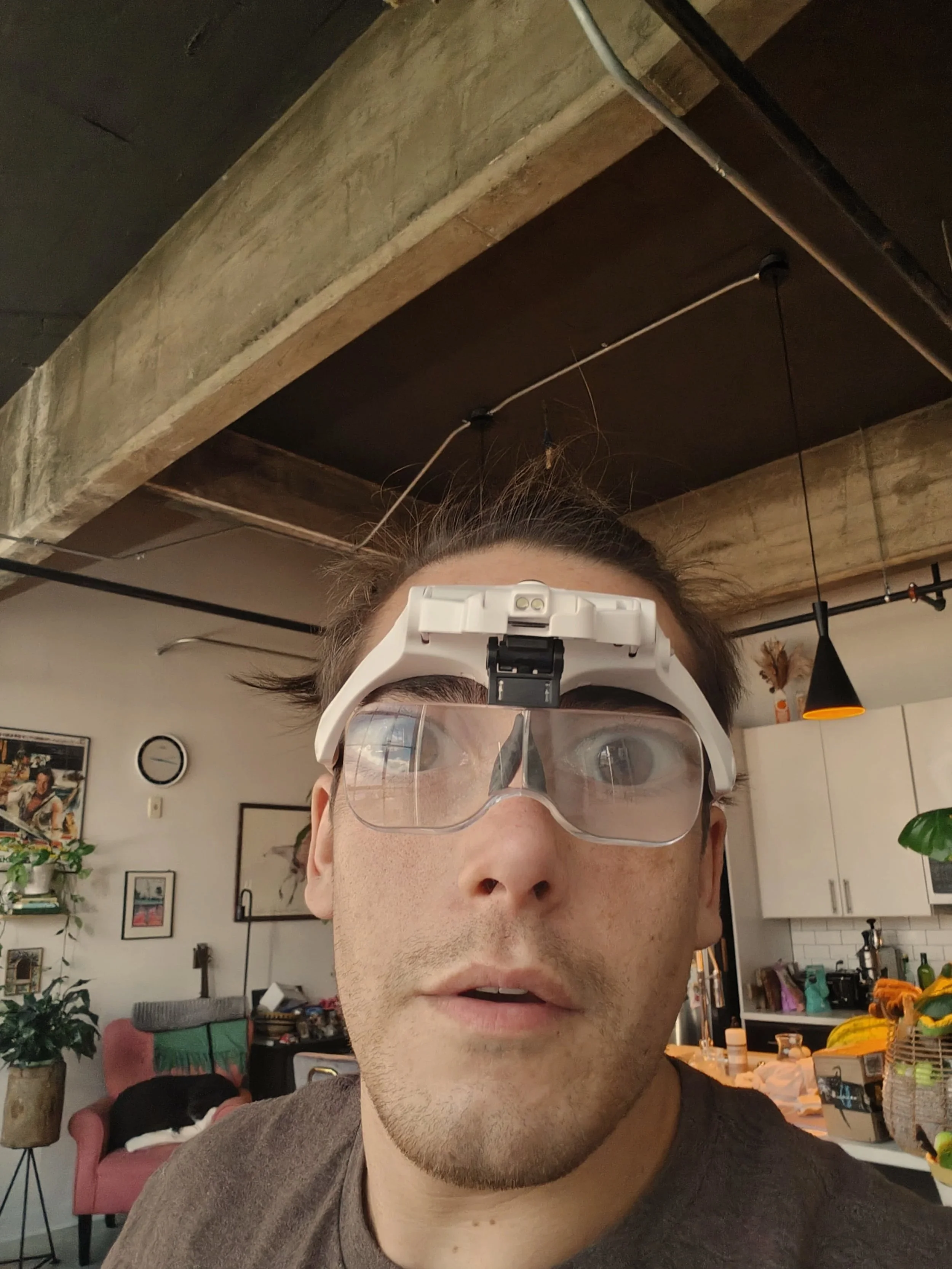 Person taking a selfie indoors with a camera shield over their eyes, showing part of their face, hair, and the top of their head. The background features a living space with furniture, plants, wall decorations, and kitchen elements.