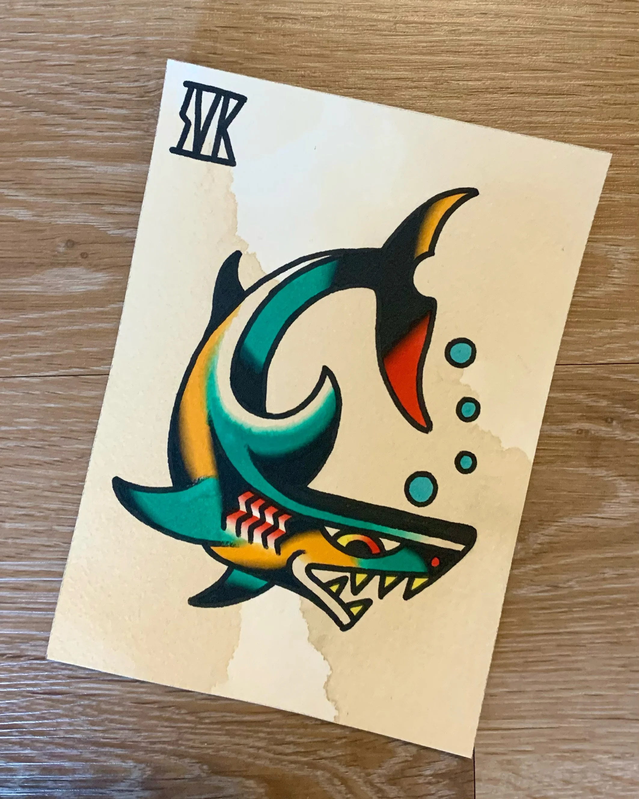 shark flash.jpeg