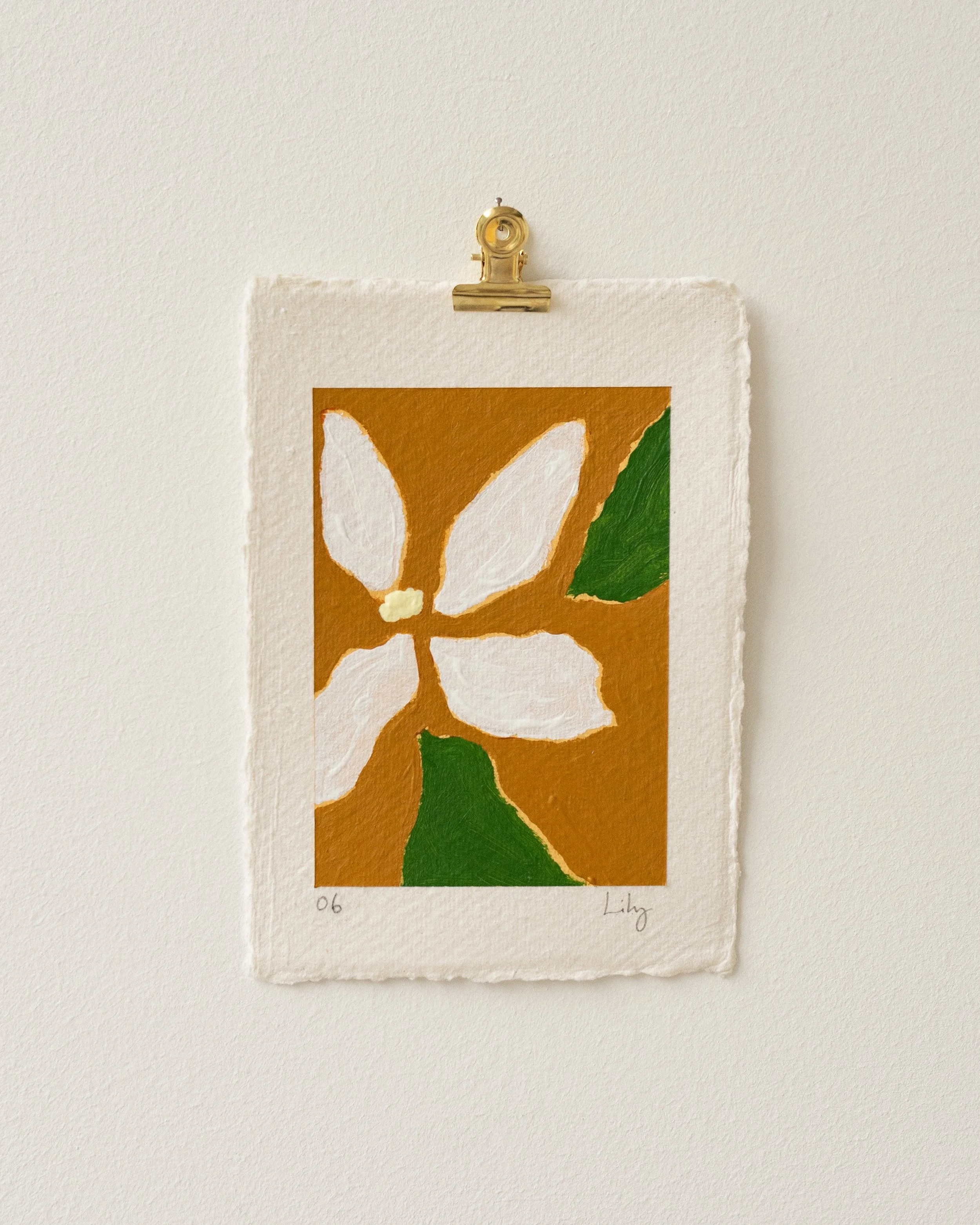 Lily No.6