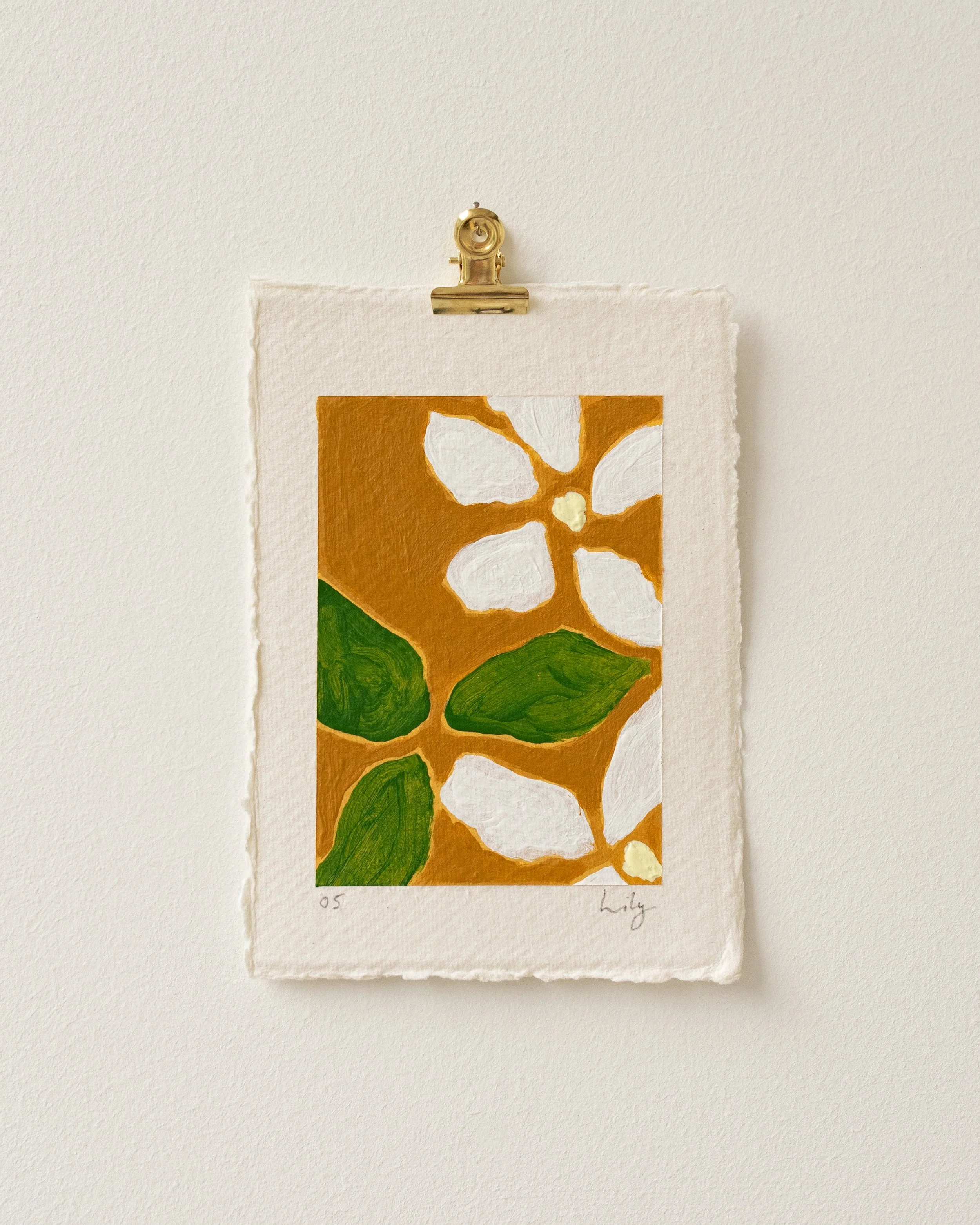Lily No.5