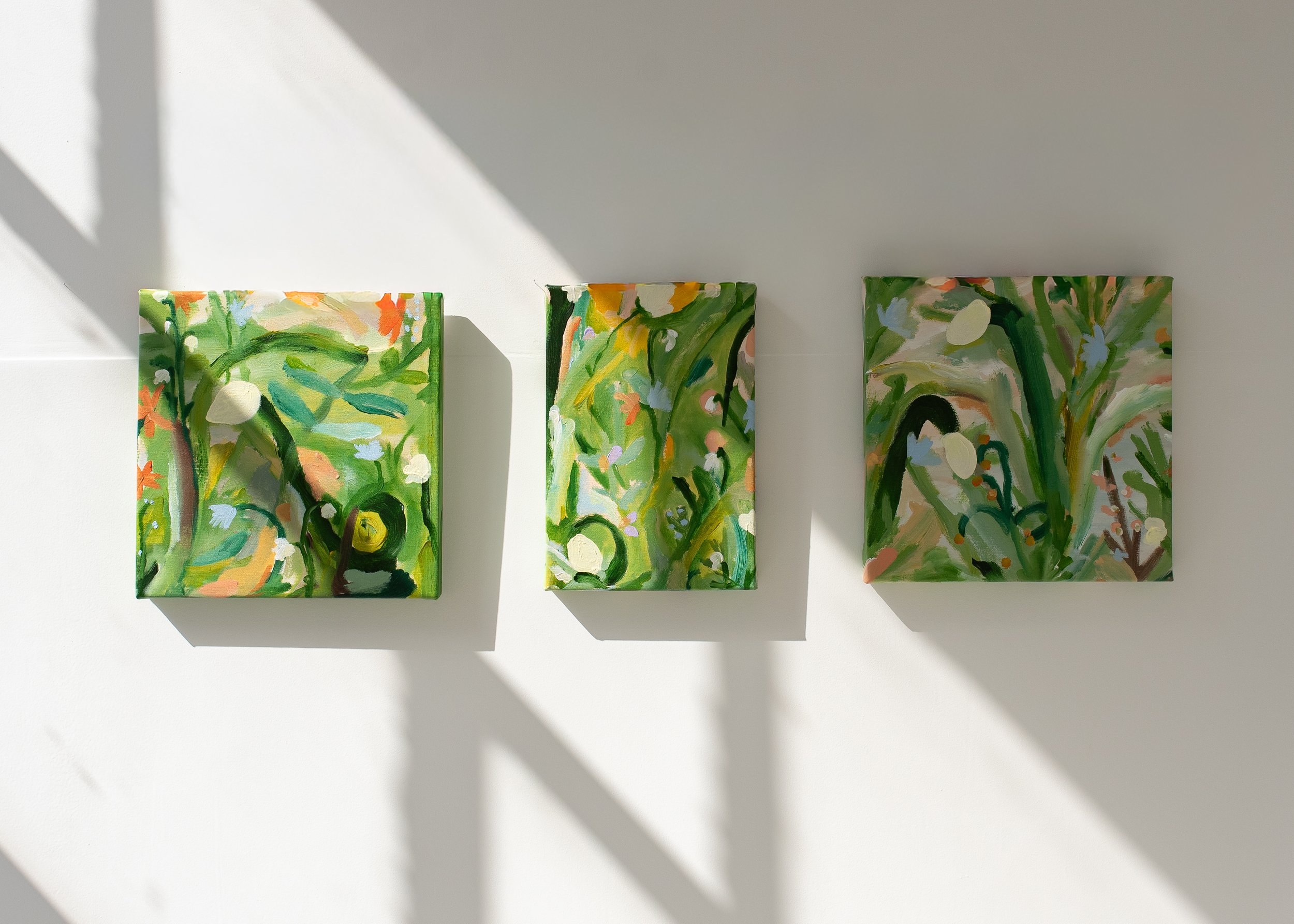 wildflowers kathryn taylor UK painter-7.jpg (Copy) (Copy)