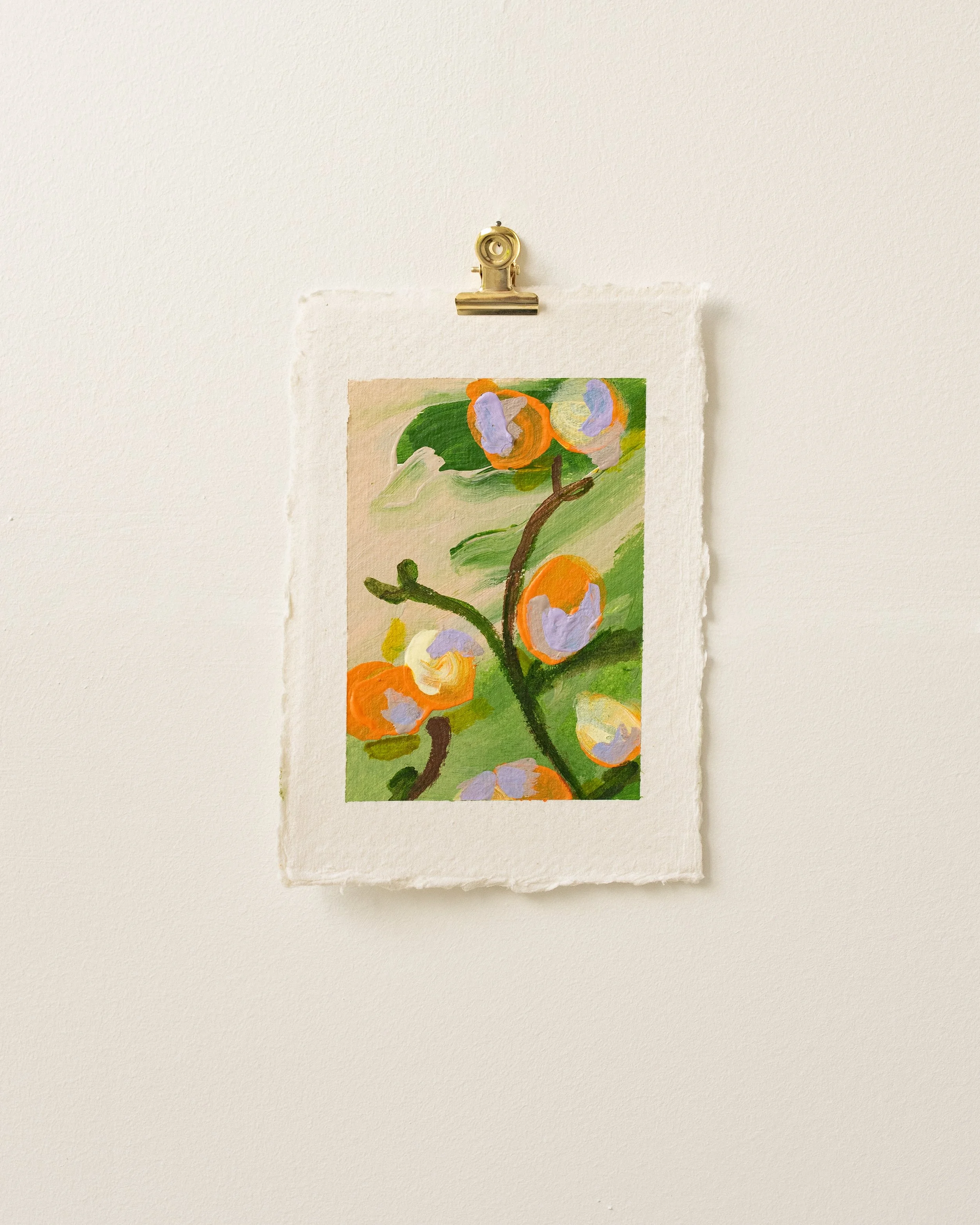 Orange Blossom