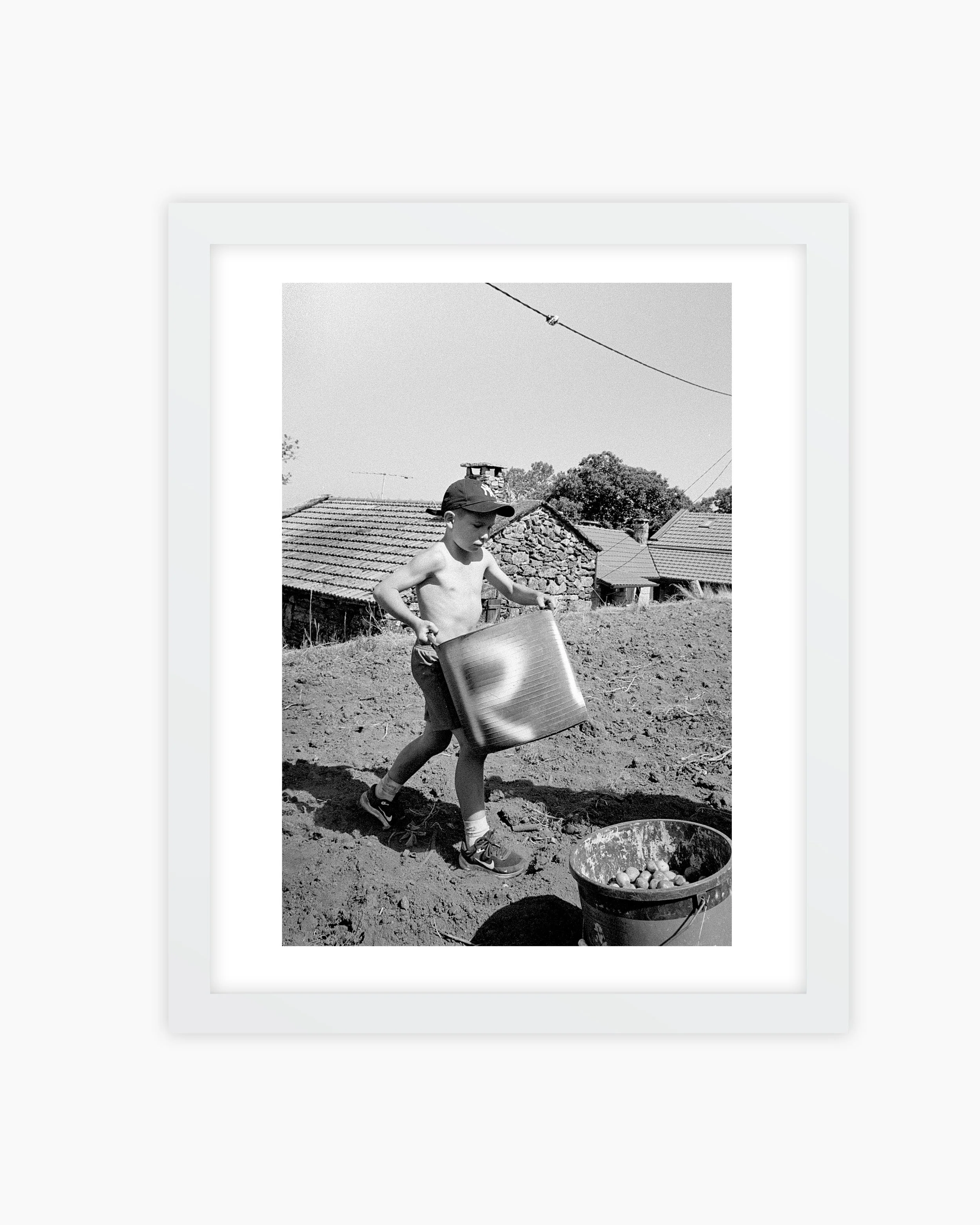04. A boy carries a basket of potatoes. Mourim, Portugal. 2025..jpg