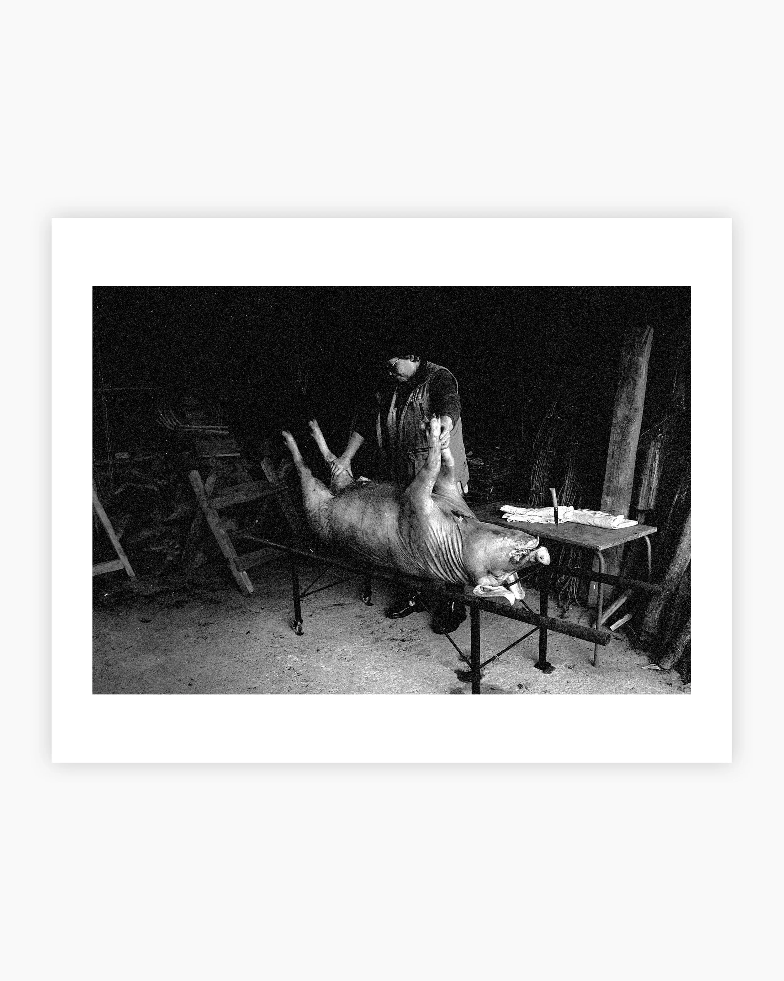 Woman at a traditional pig slaughter. Viana do Castelo, Portugal. 2025.