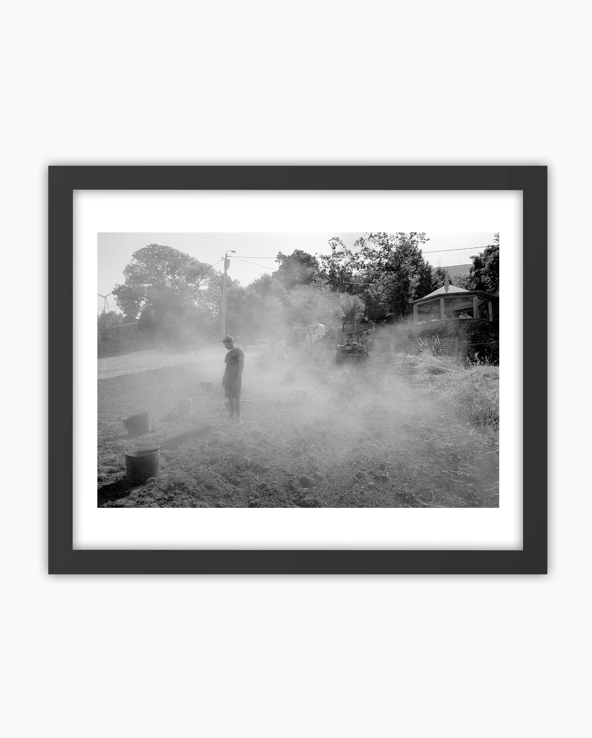 03. Potatos harvest. Melgaço, Portugal. 2025..jpg