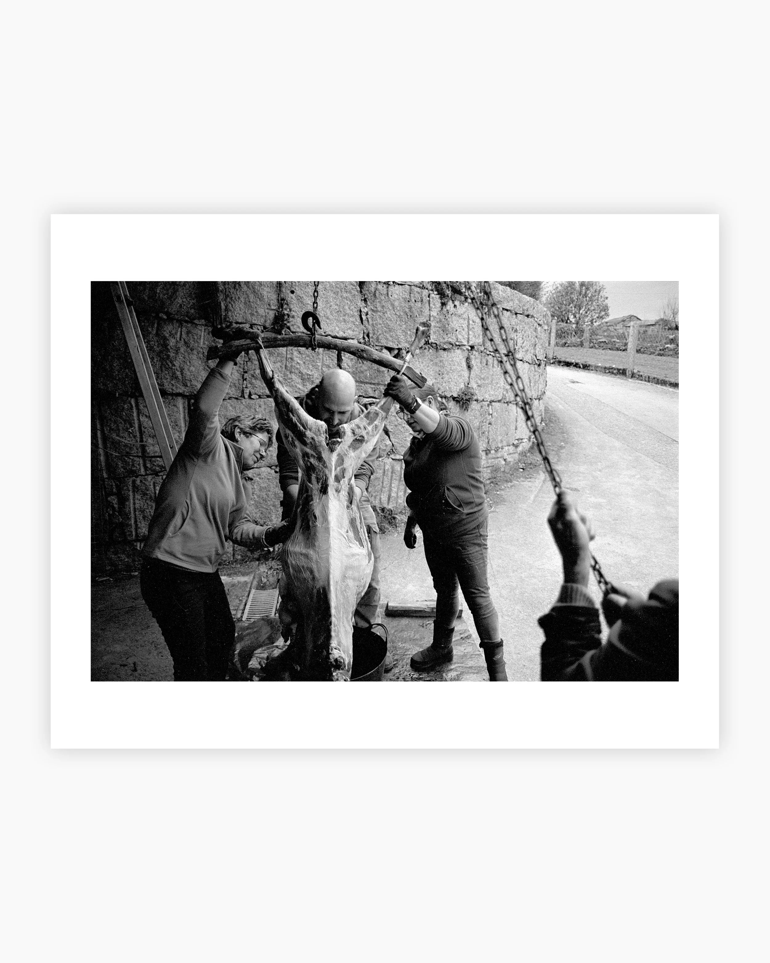 People skin a goat in a Portuguese village. Viana do Castelo, Portugal. 2025.