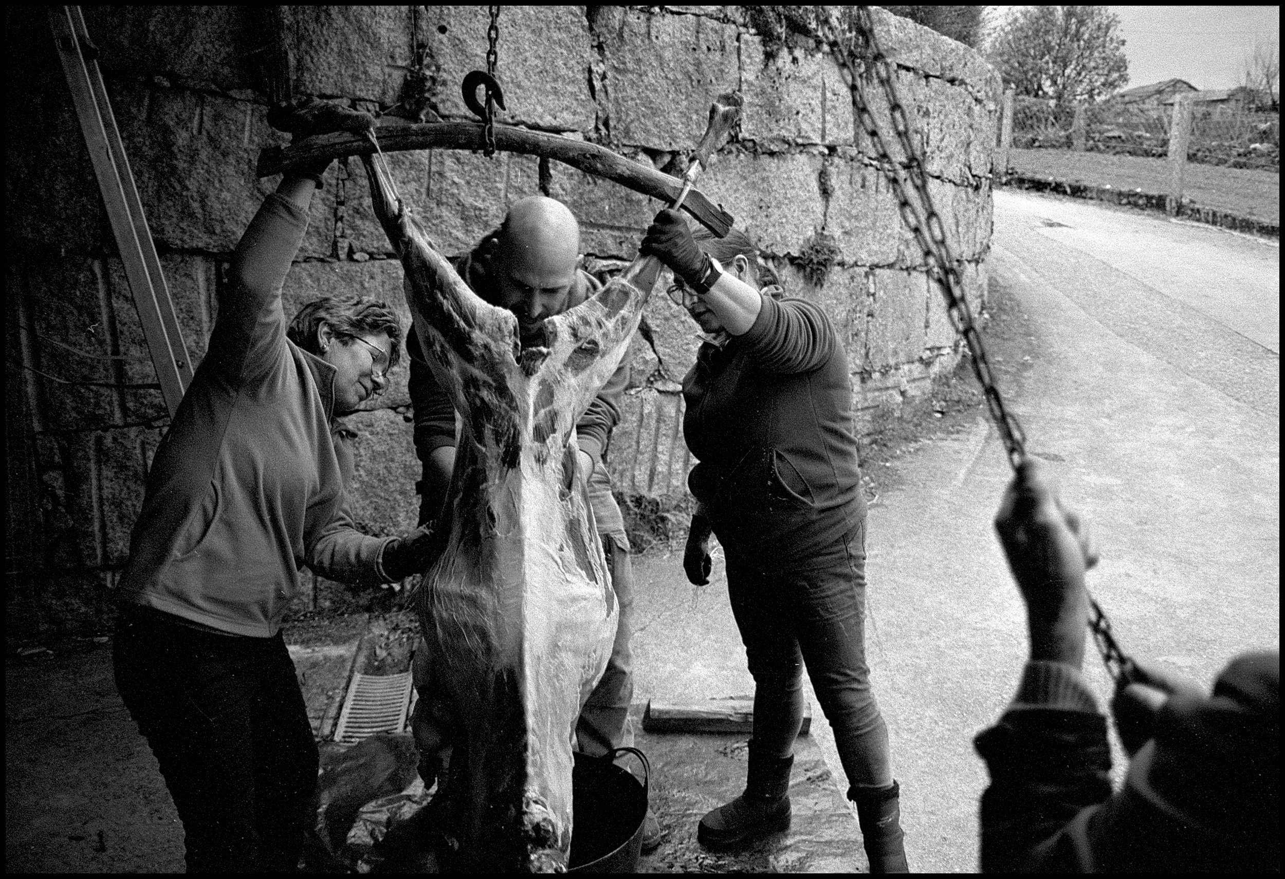 People skin a goat in a Portuguese village. Viana do Castelo, Portugal. 2025.