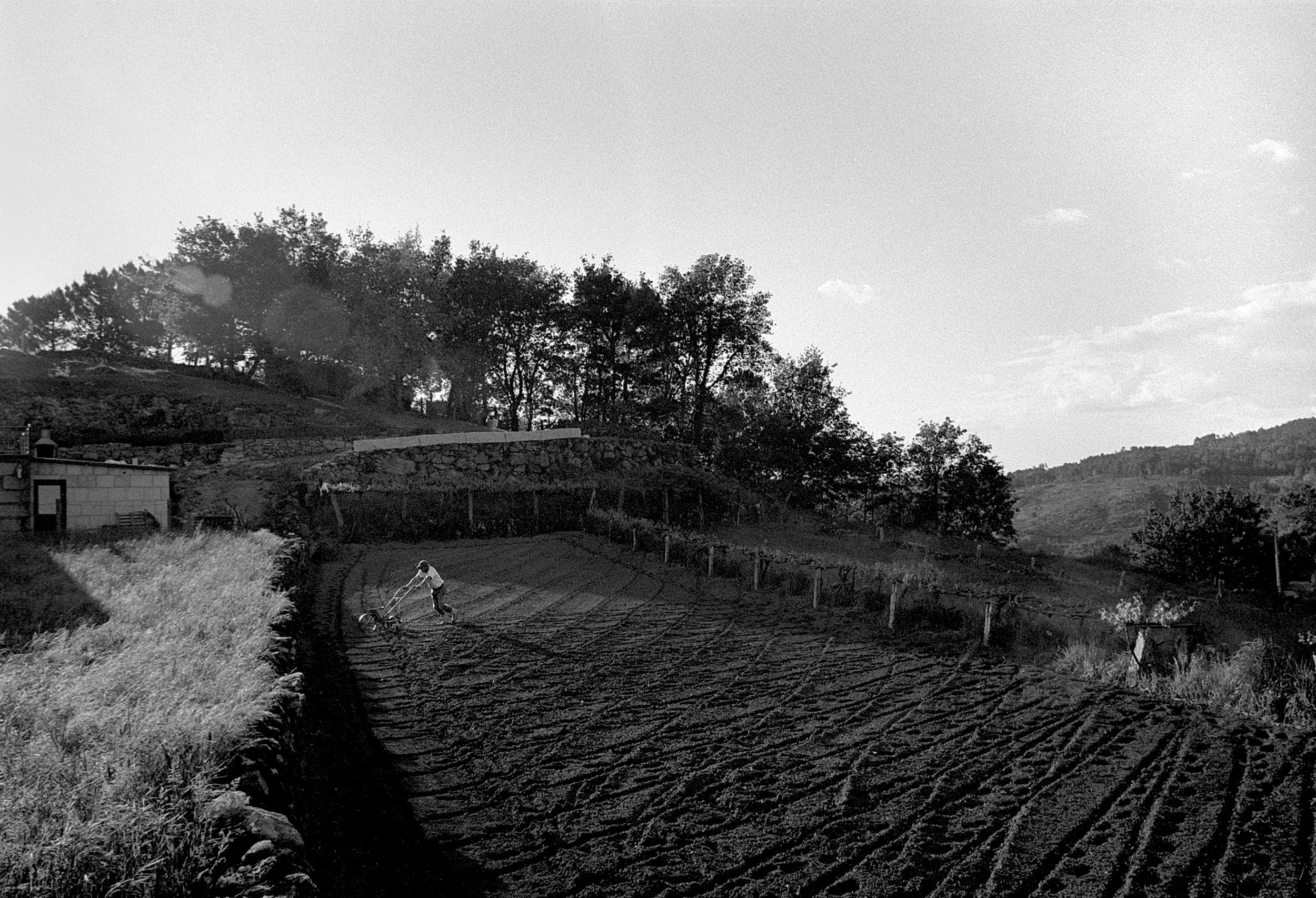 Parada do Monte, Viana do Castelo, Portugal. 2025.