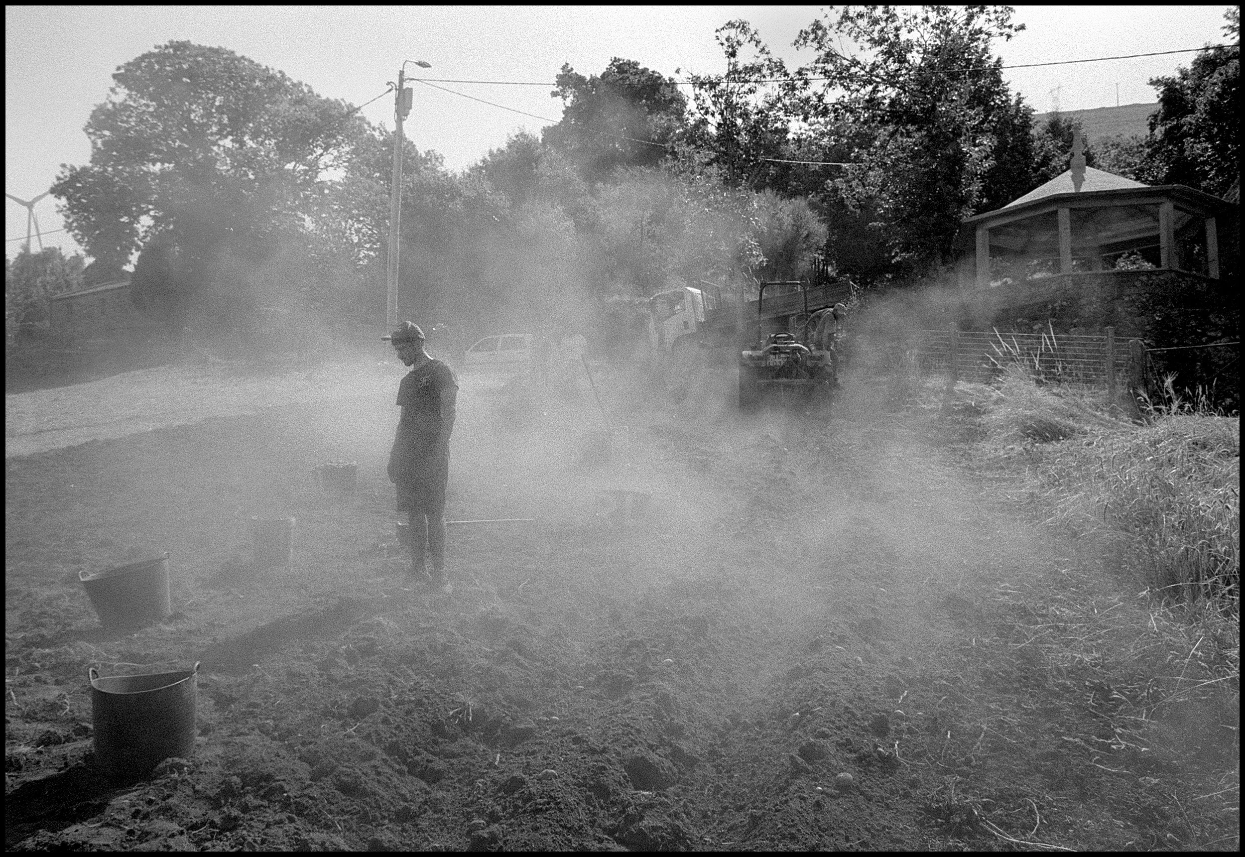 Potatos harvest. Melgaço, Portugal. 2025.