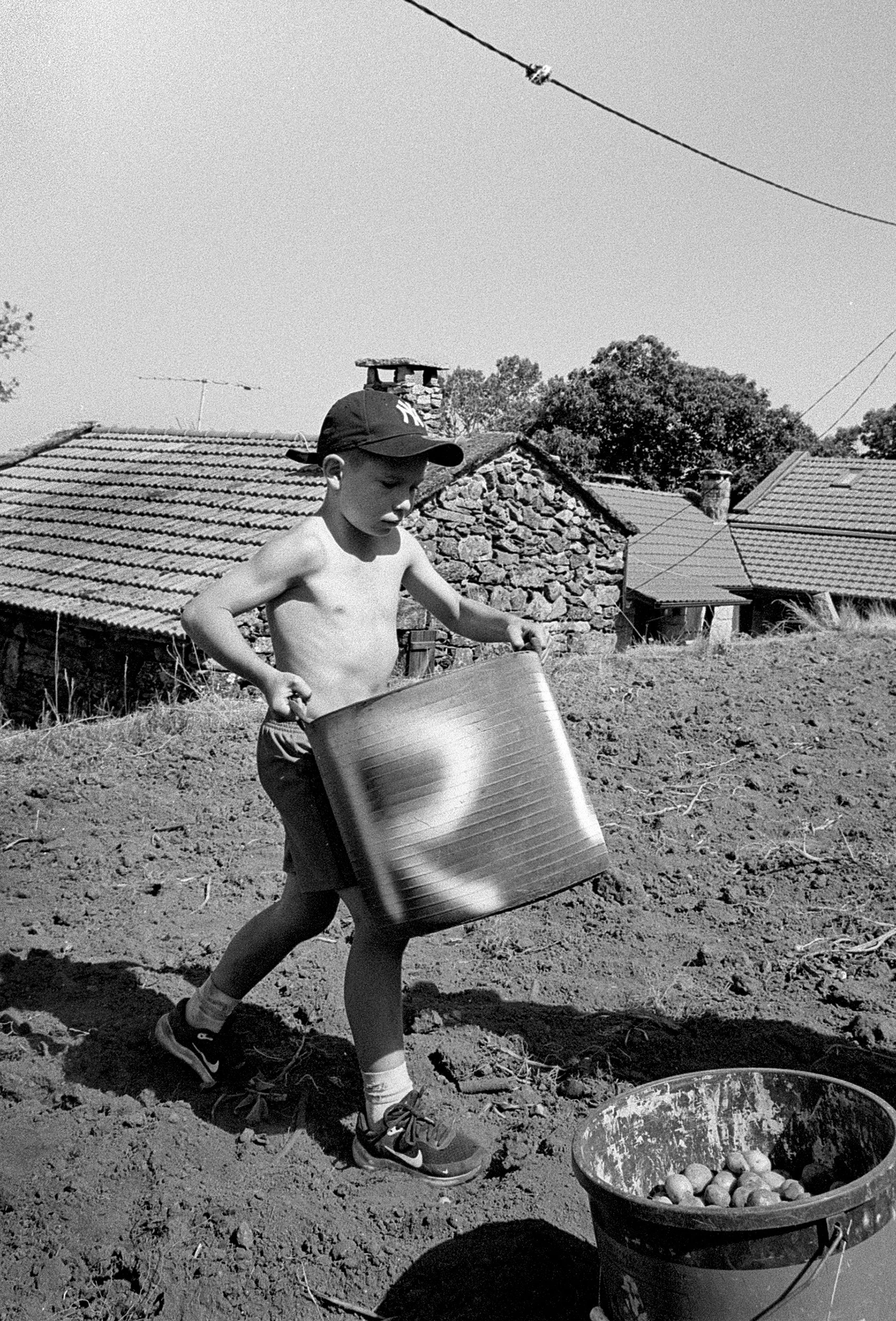 A boy carries a basket of potatoes. Mourim, Portugal. 2025.