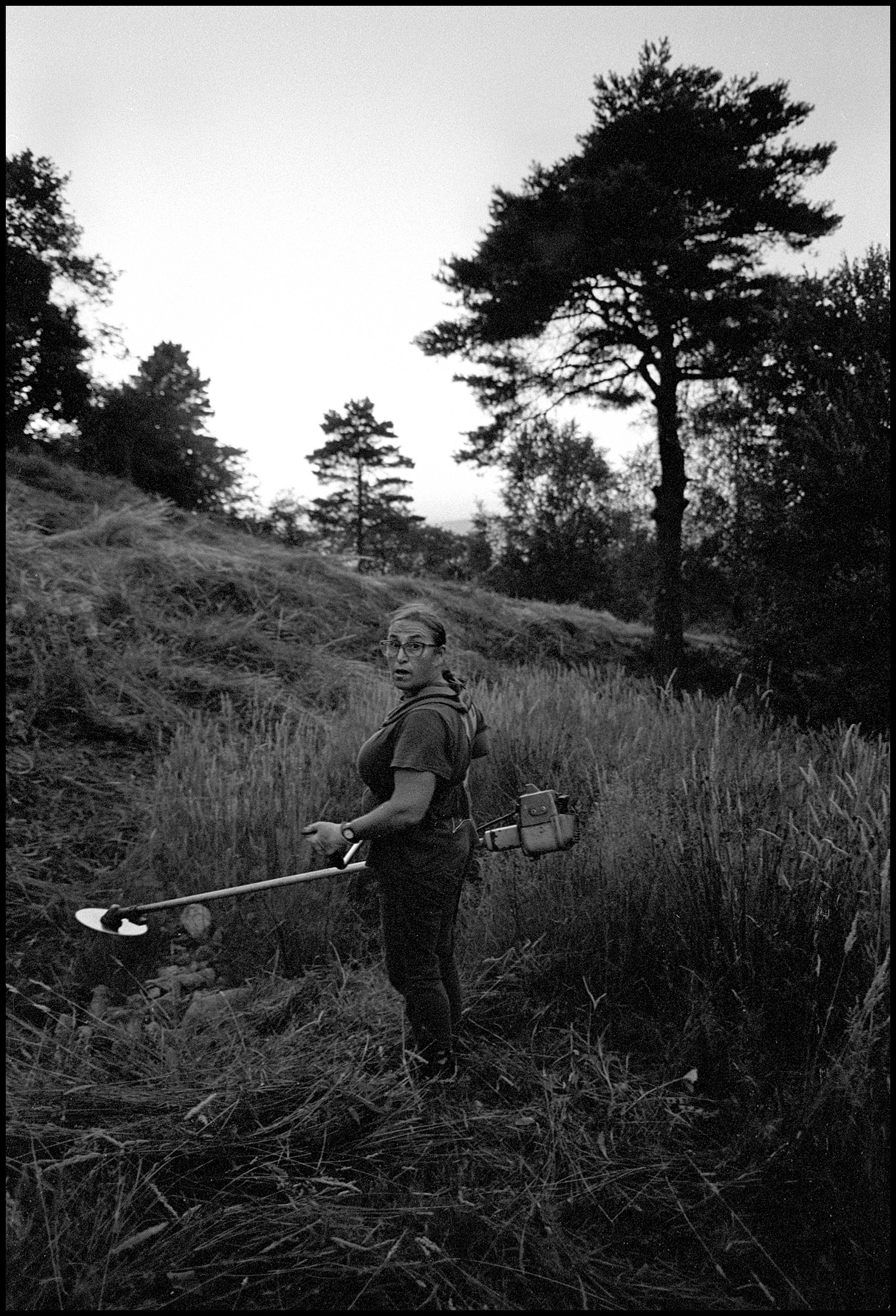 Woman in the countryside, carrying a machine on her back, cuts hay to feed the animals throughout the year. Viana do Castelo, Portugal. 2025.