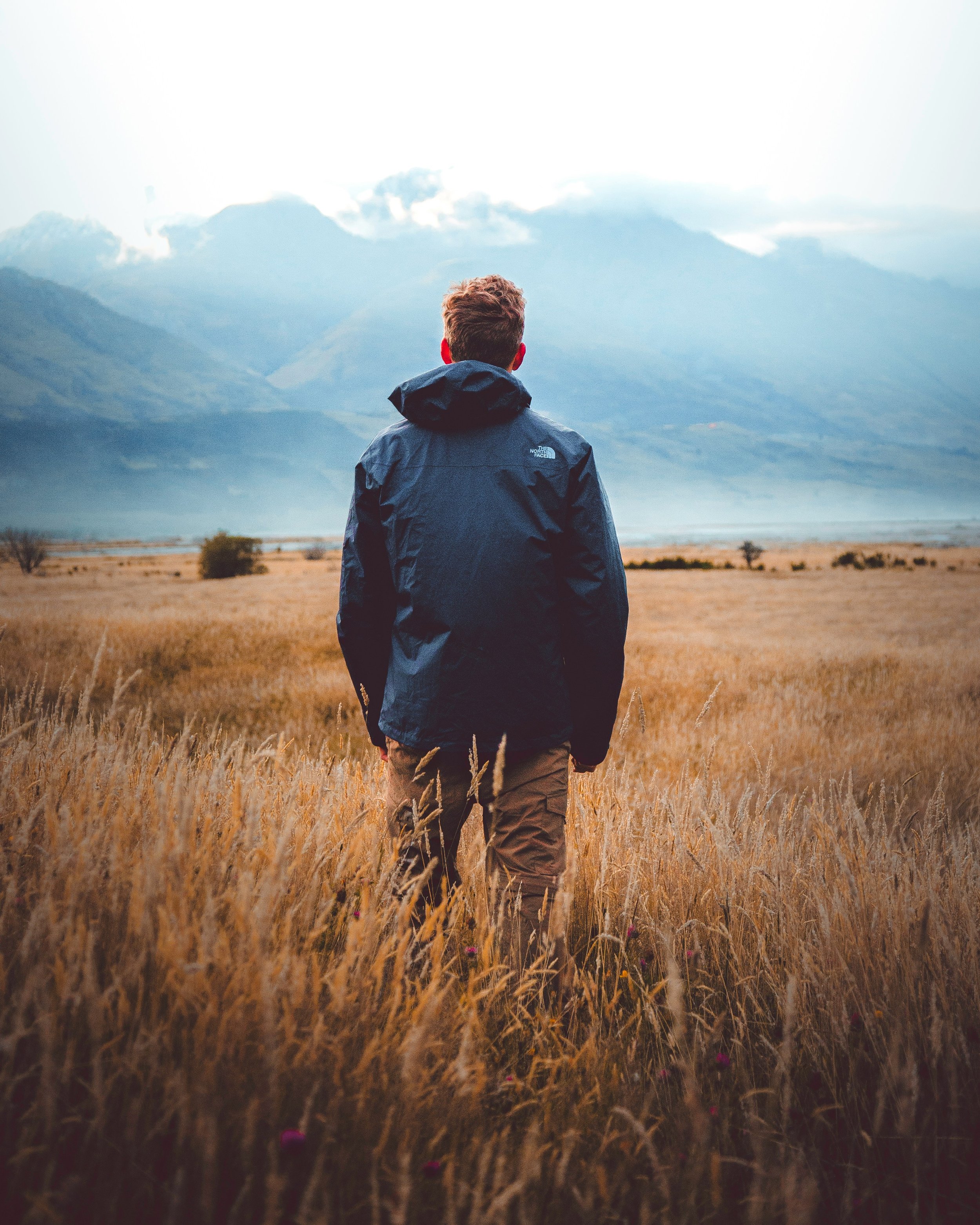 Man standing in a field of tall grass, facing mountains and sky in the distance.