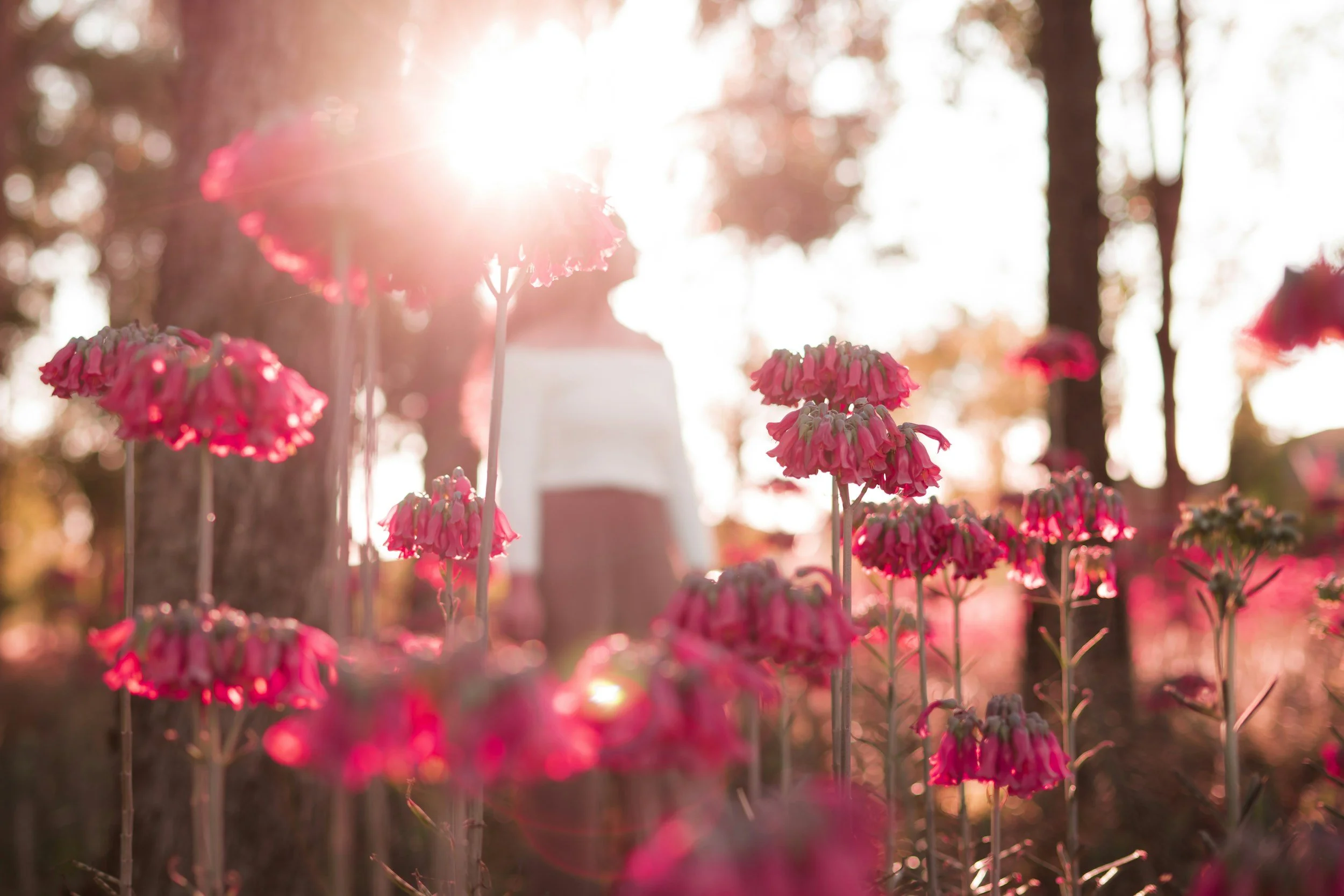 Woman standing in sunlight representing clarity and confidence