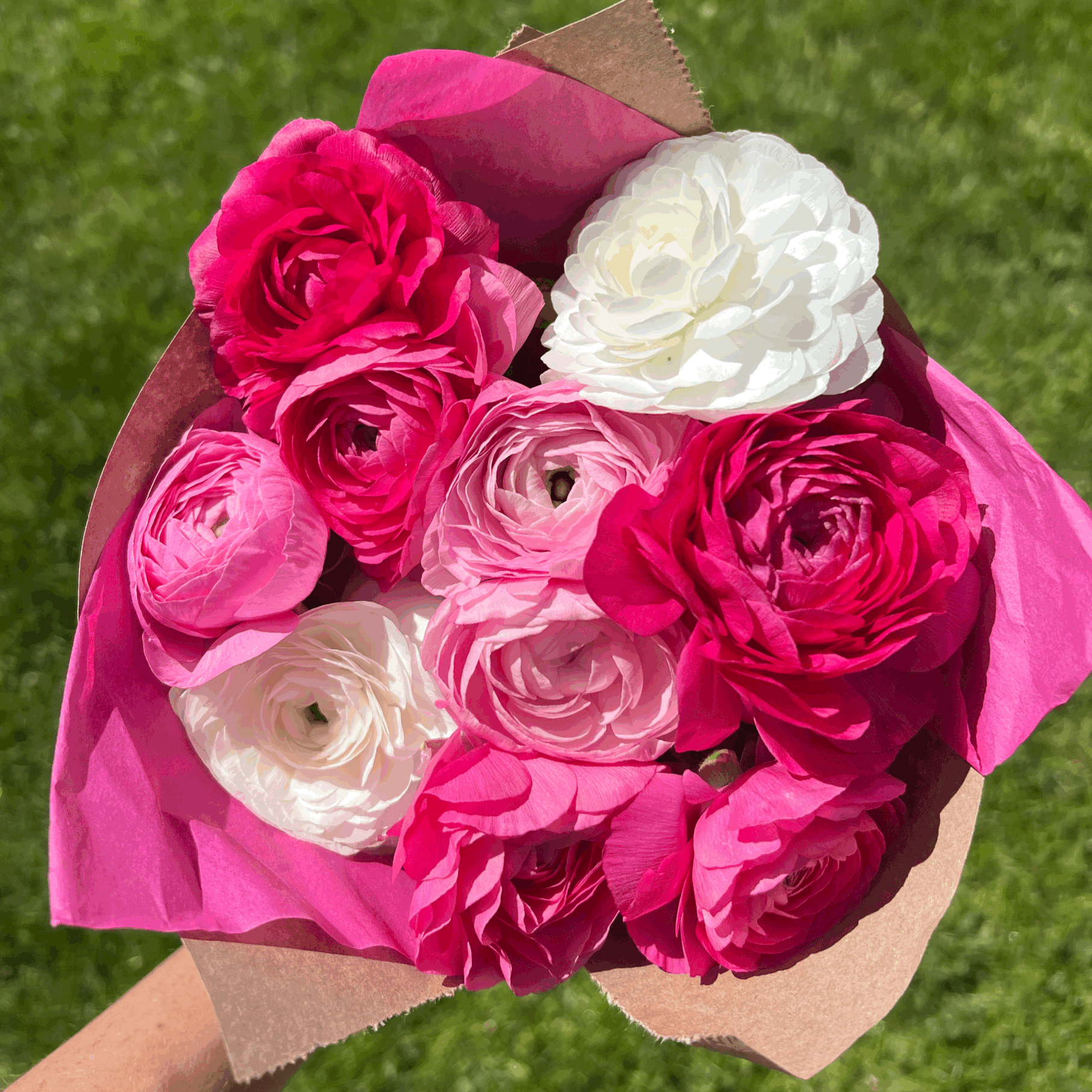 Ranunculus Bundle
