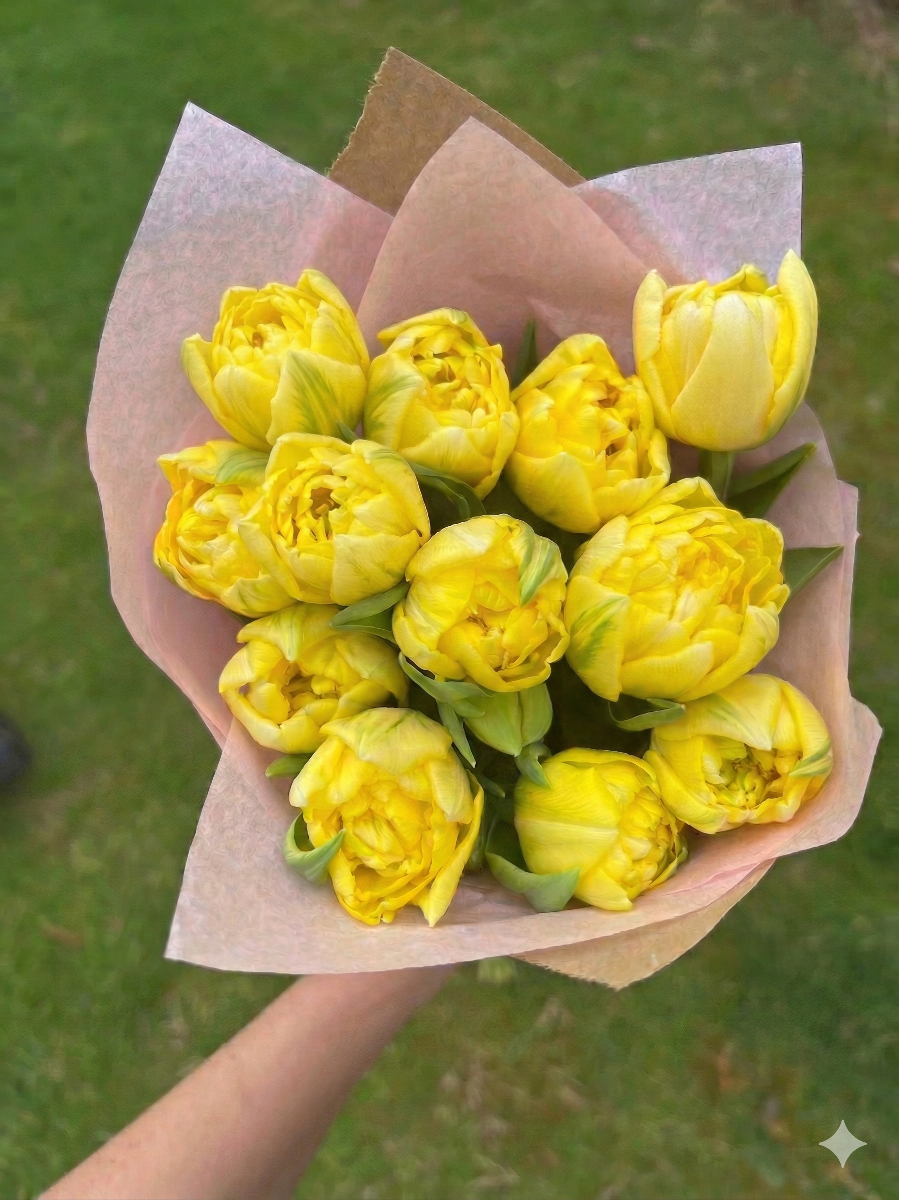 Double Shake Tulip Bouquet