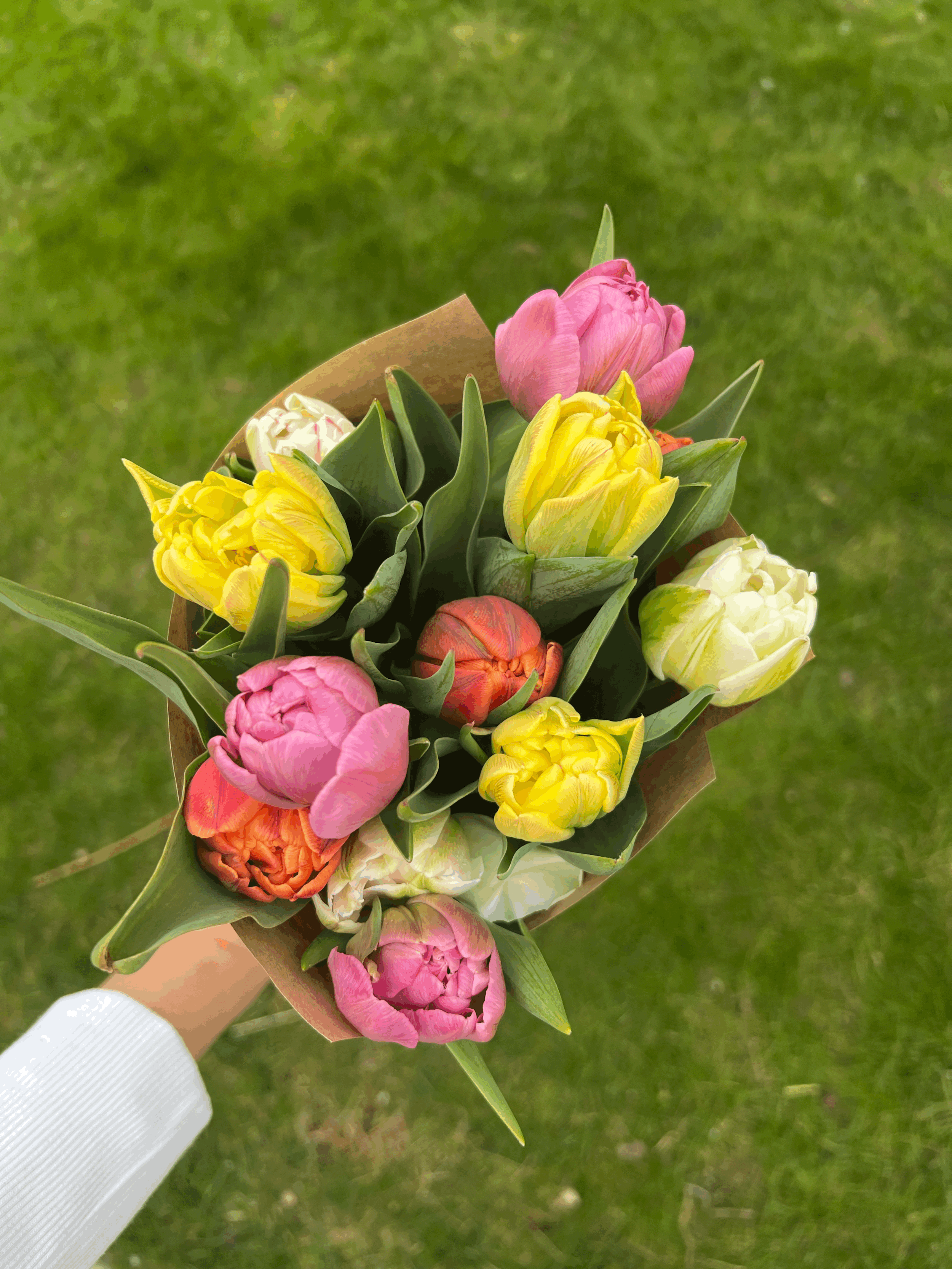 Mixed Tulip Bouquet
