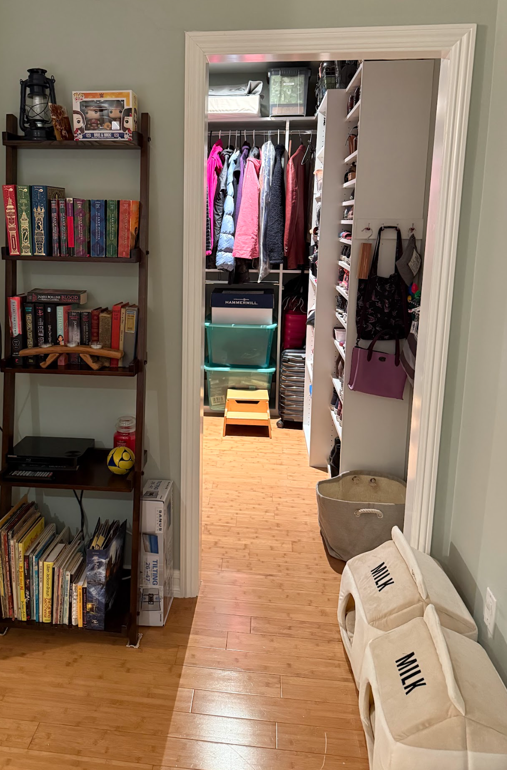 Making It Home - Projects - KJ - Bedroom Closet.png