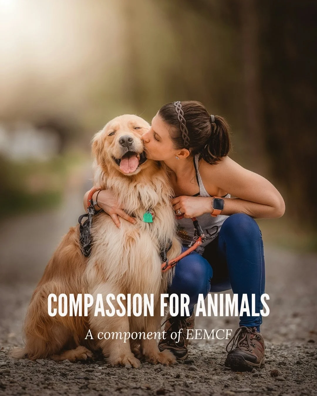 Compassion for&nbsp;animals&nbsp;is a core&nbsp;component&nbsp;of the&nbsp;Embodied &amp; Embedded Mindfulness and Compassion Framework (EEMCF). It reflects how we notice&nbsp;animal suffering, respond with care, and act in ways that protect, support