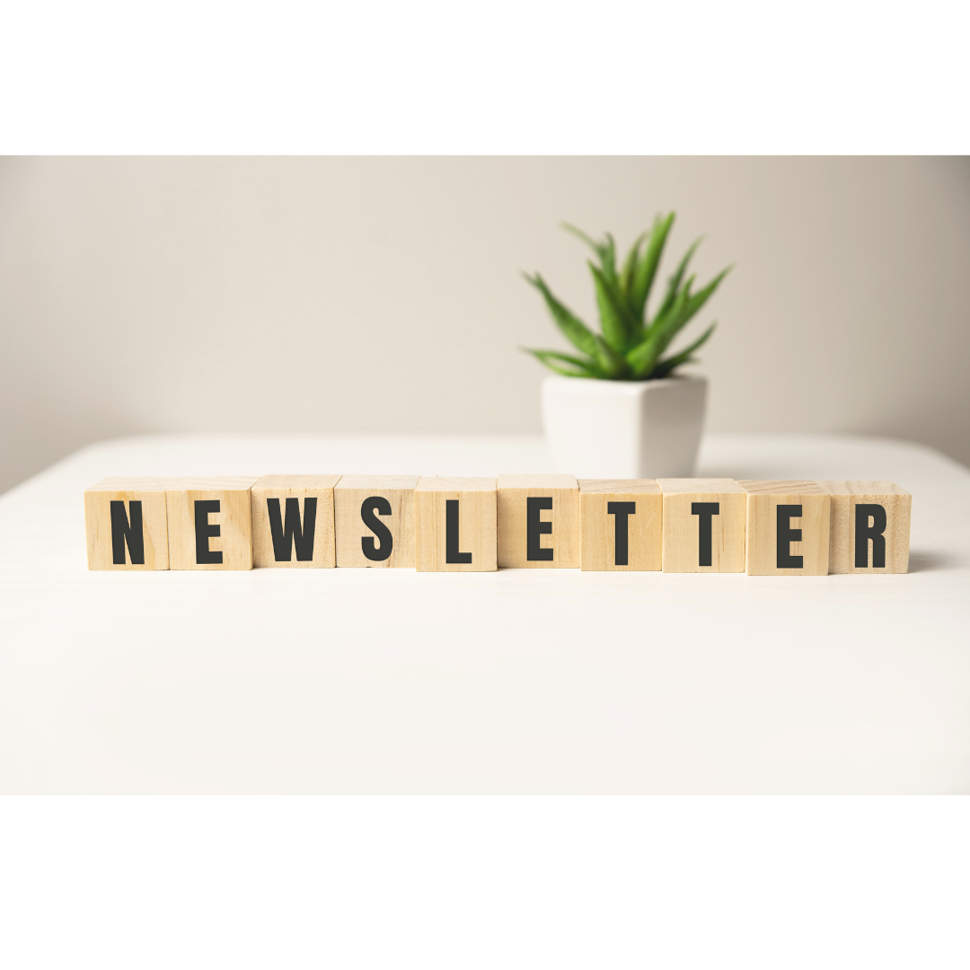 Wooden blocks spelling 'NEWSLETTER' on a white surface with a potted green plant in the background.