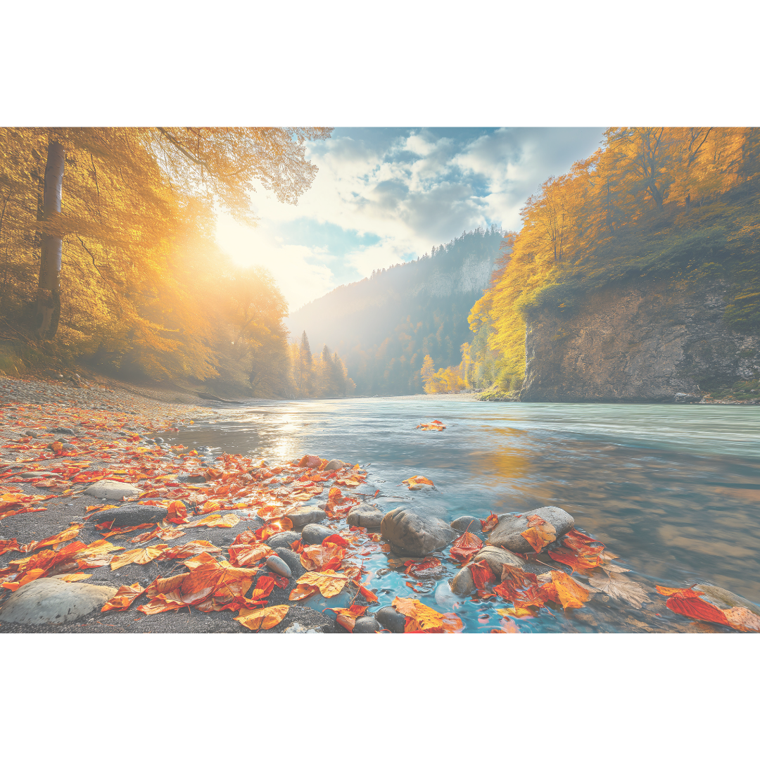 Sun shining over a river surrounded by autumn trees and mountains, with fallen leaves on the riverbank.