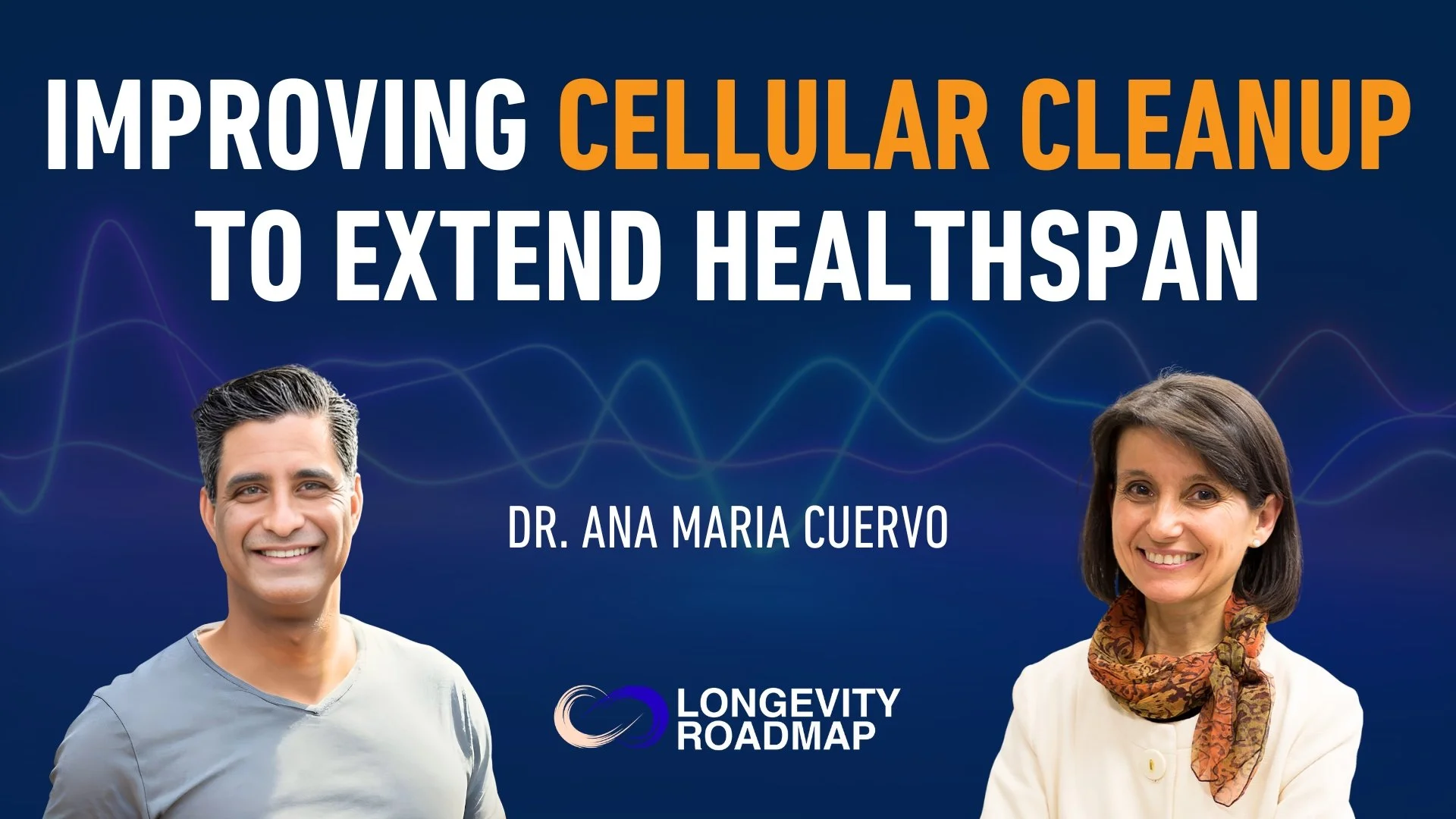 This week, Professor Ana Maria Cuervo breaks down one of the most important&mdash;and most overlooked&mdash;drivers of aging: the decline of chaperone-mediated autophagy (CMA), the system cells use to identify and remove damaged proteins.

As CMA slo