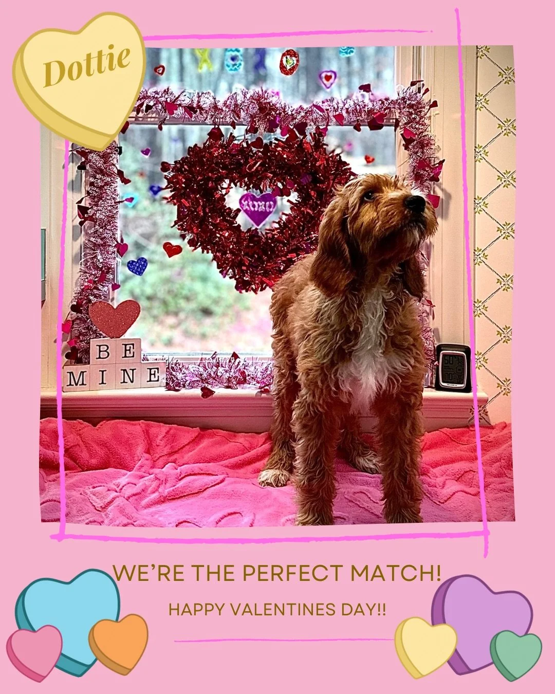 Mclabradoodle valentine card