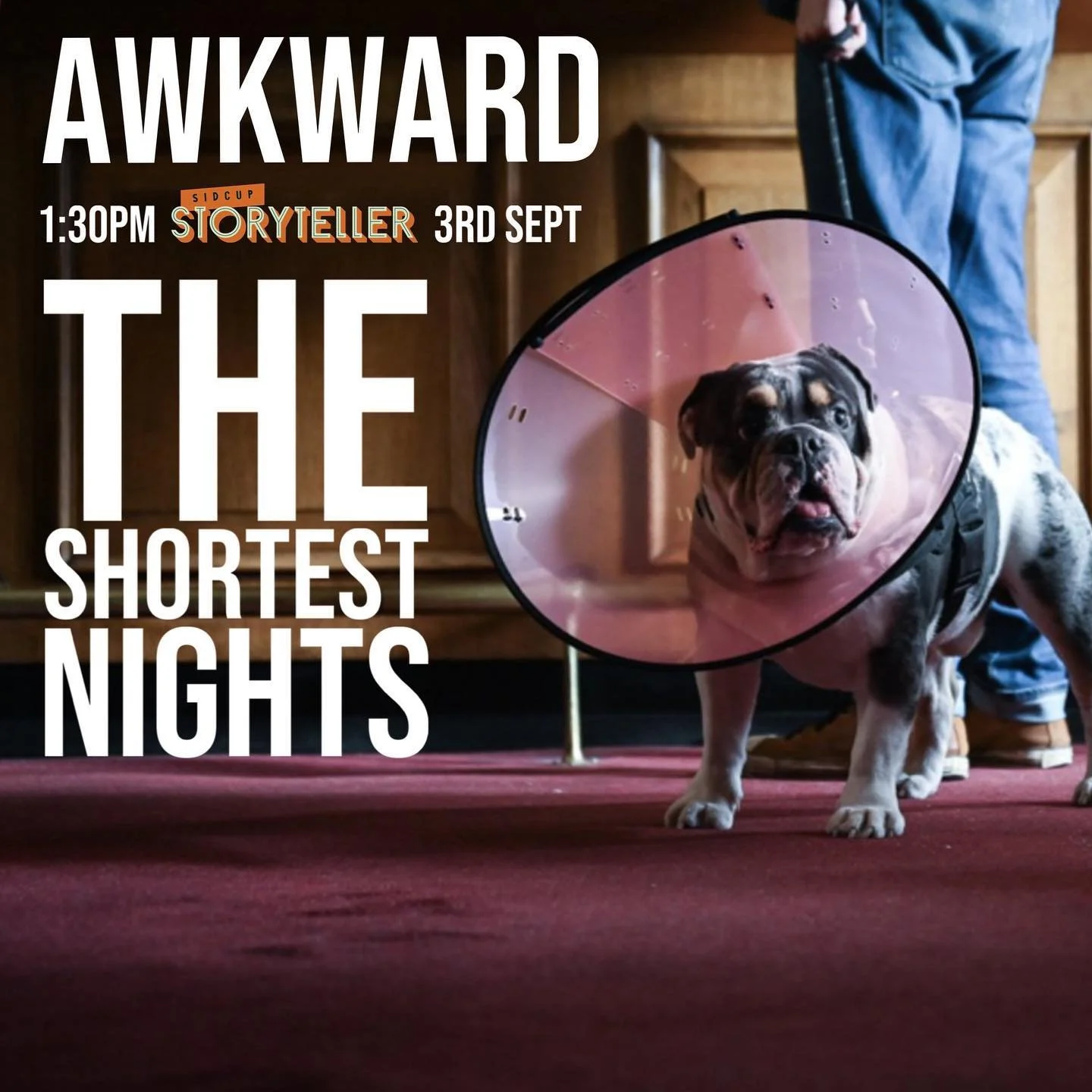 1:30pm Sunday 3rd Sept. Join us for some COMEDY in our 2nd programme at @sidcupstoryteller 
&lsquo;AWKWARD&rsquo; is a fun-filled comedy programme celebrating those odd encounters and awkward moments in life. (UK, Comedy. 70min) - link in bio

&bull;