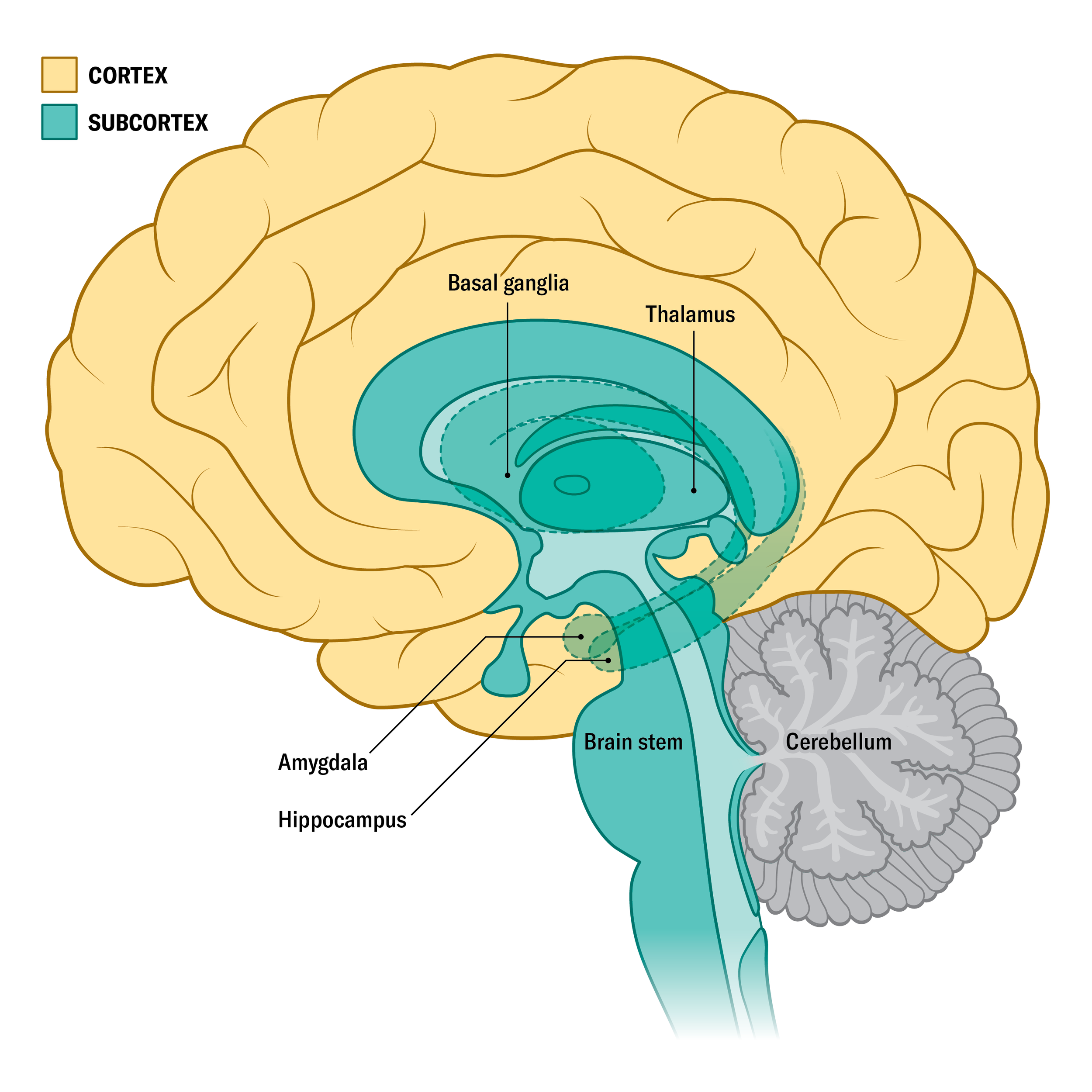 portfolio-image_11.png