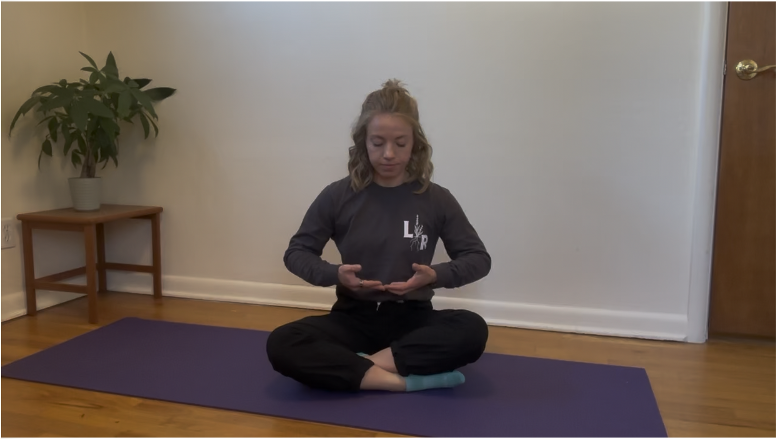 Physical therapist instructing exercise through video 