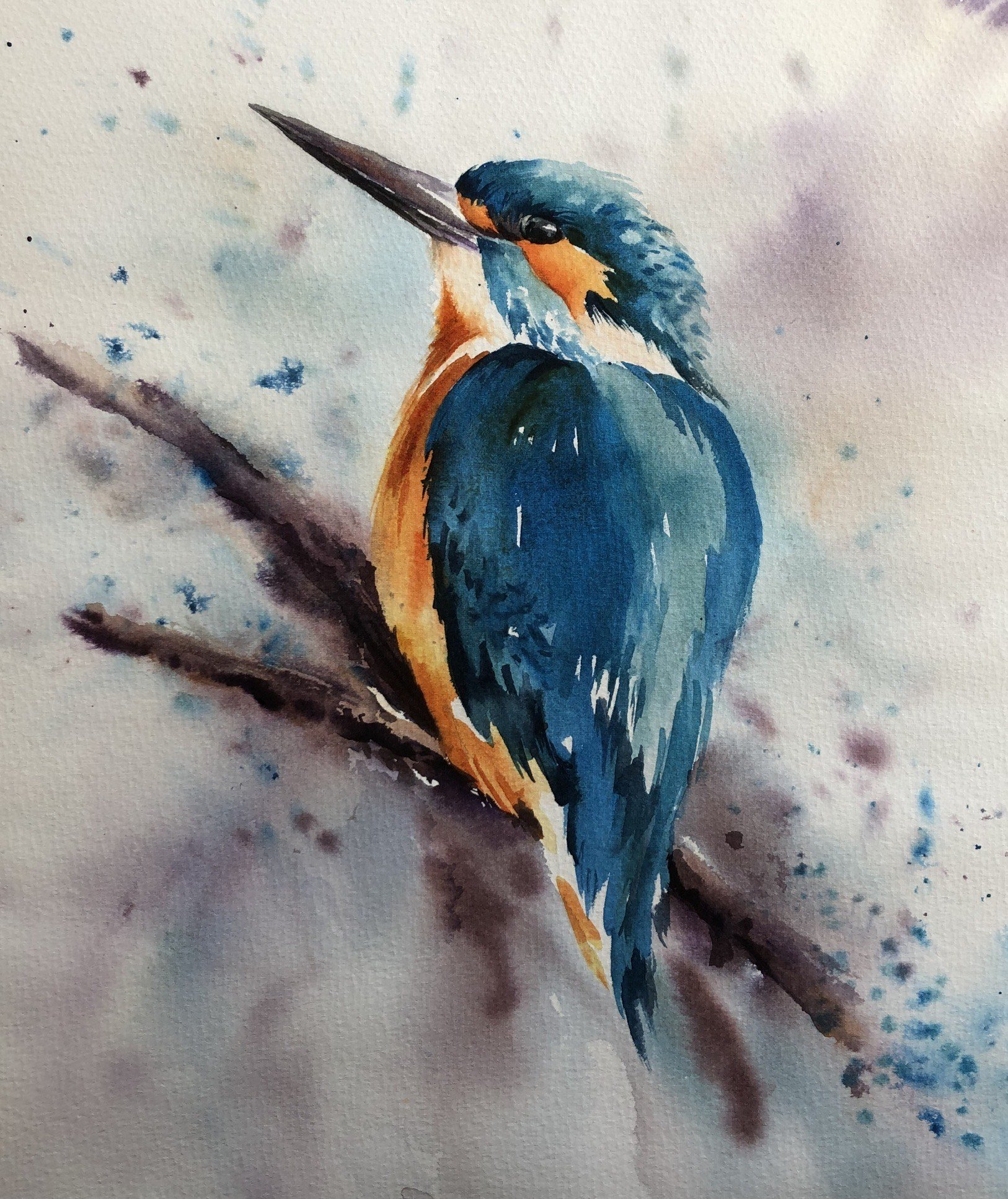 kingfisher.jpeg