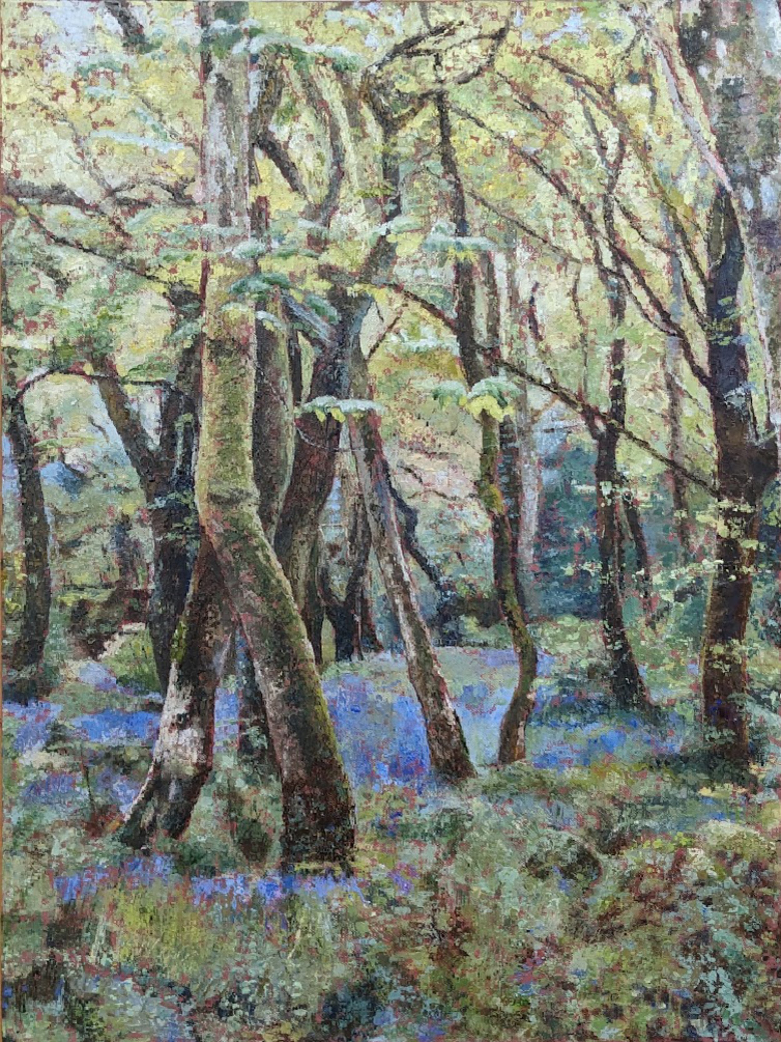 Constantine Woods.jpg