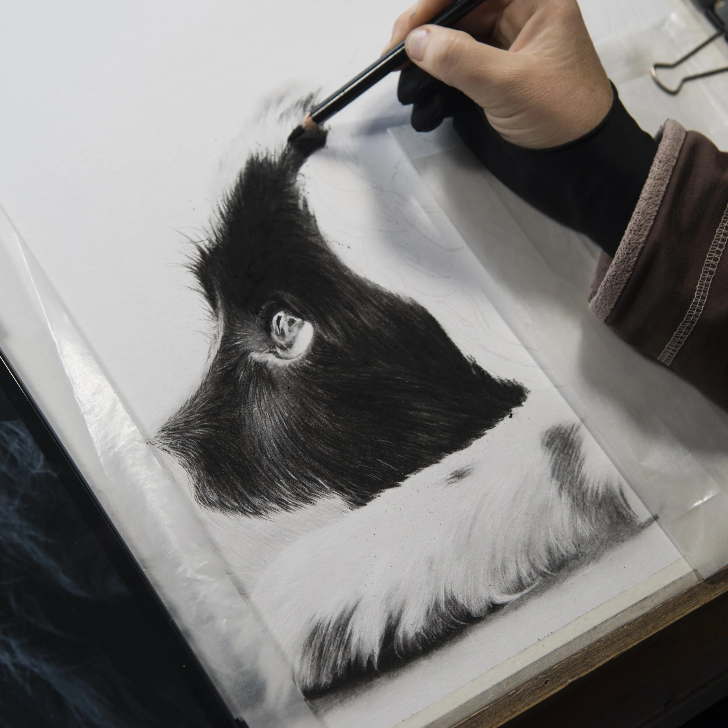 Flynn in progress (1).jpg