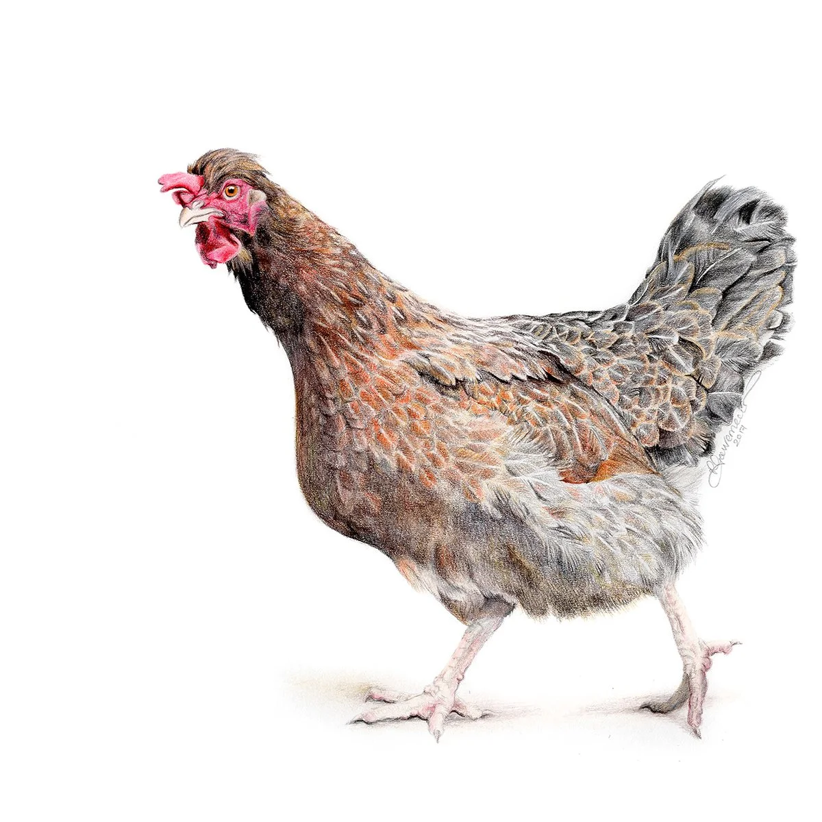 Princess Lay-a sq (1).jpg