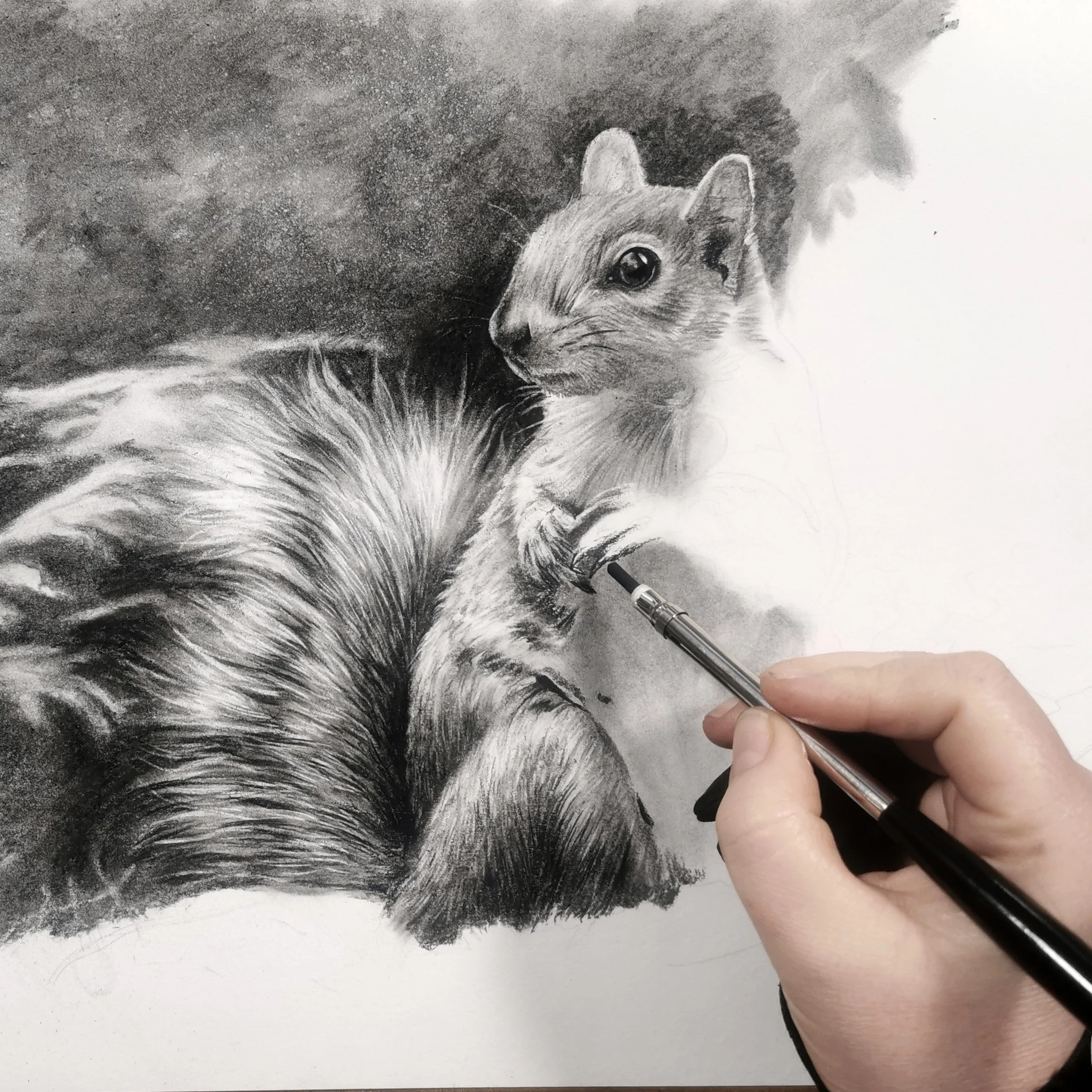Squirrel In Progress sq.jpg