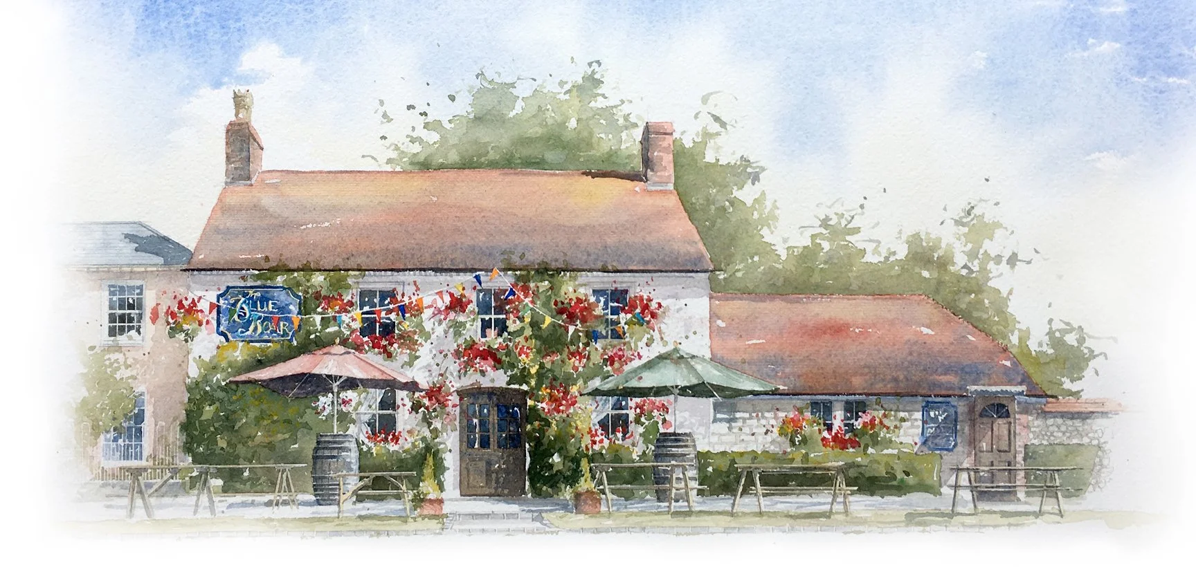 BlueBoar4Instagram.jpg