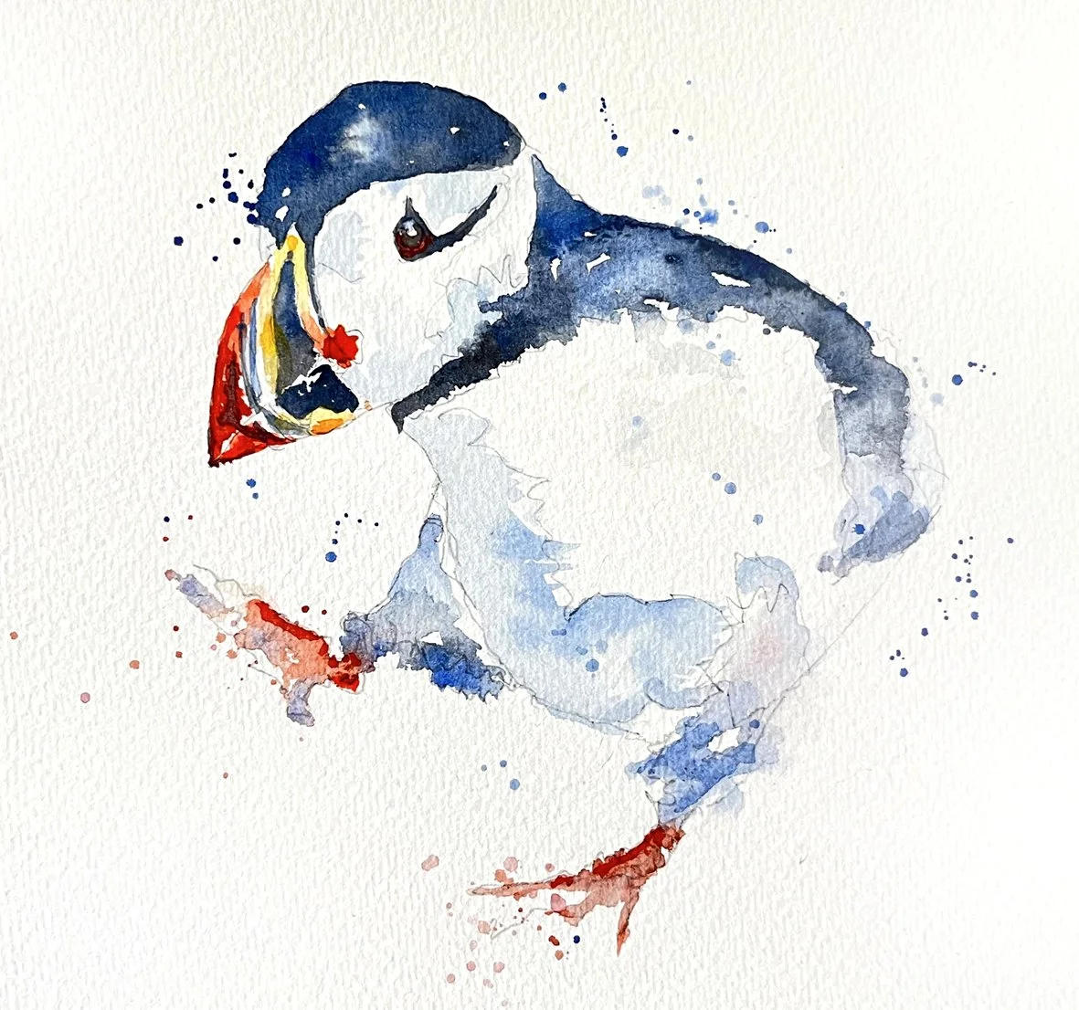 Puffinfinal.jpg