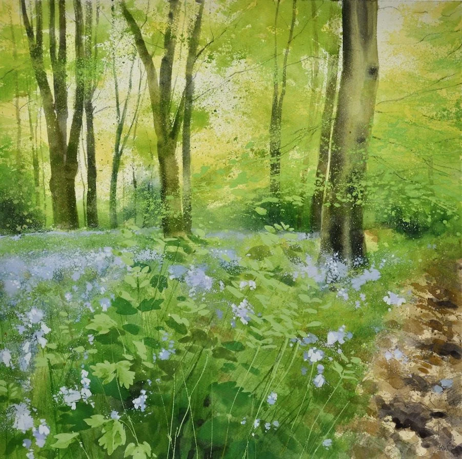 Bluebell Copse.JPG