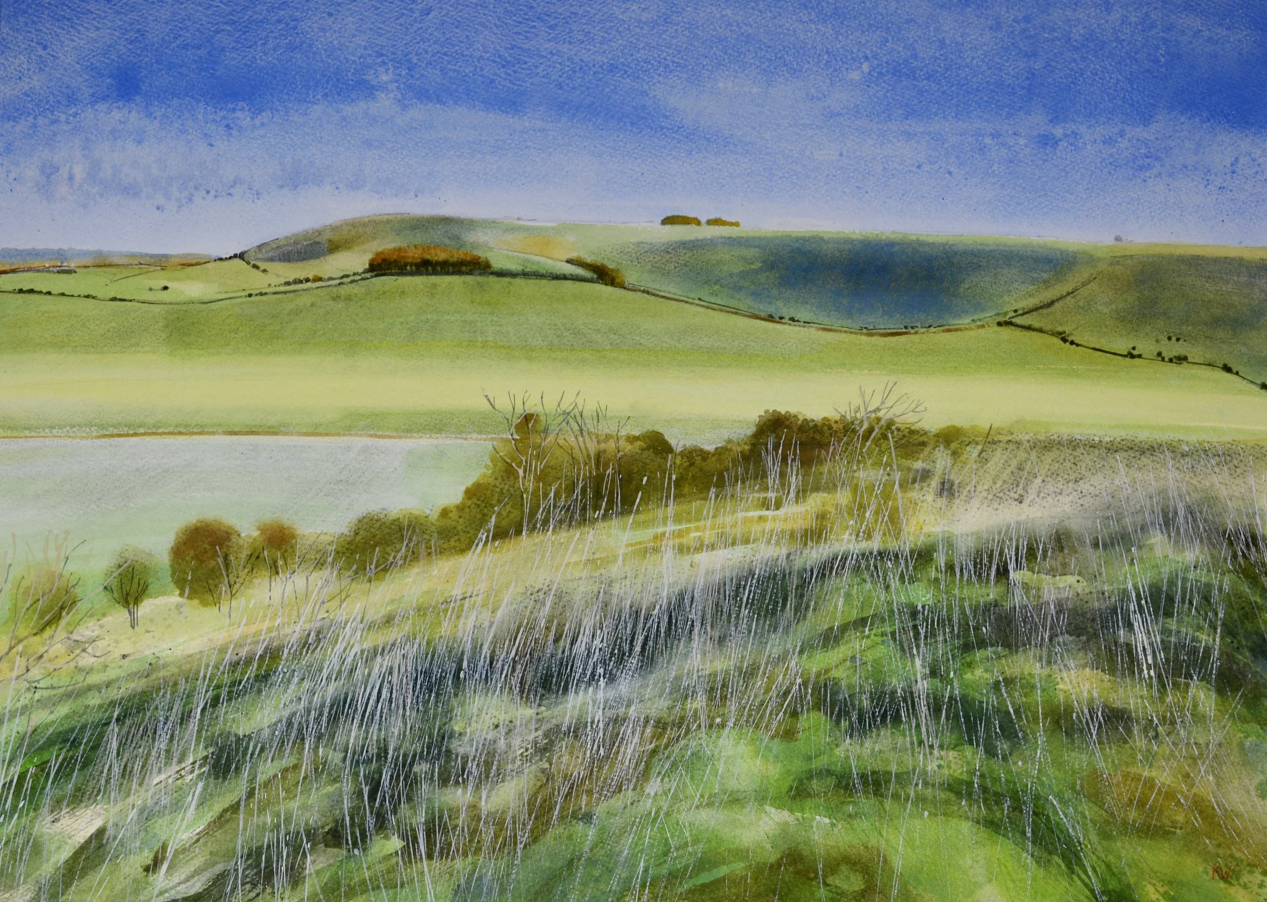 Big Sky, Pewsey.JPG