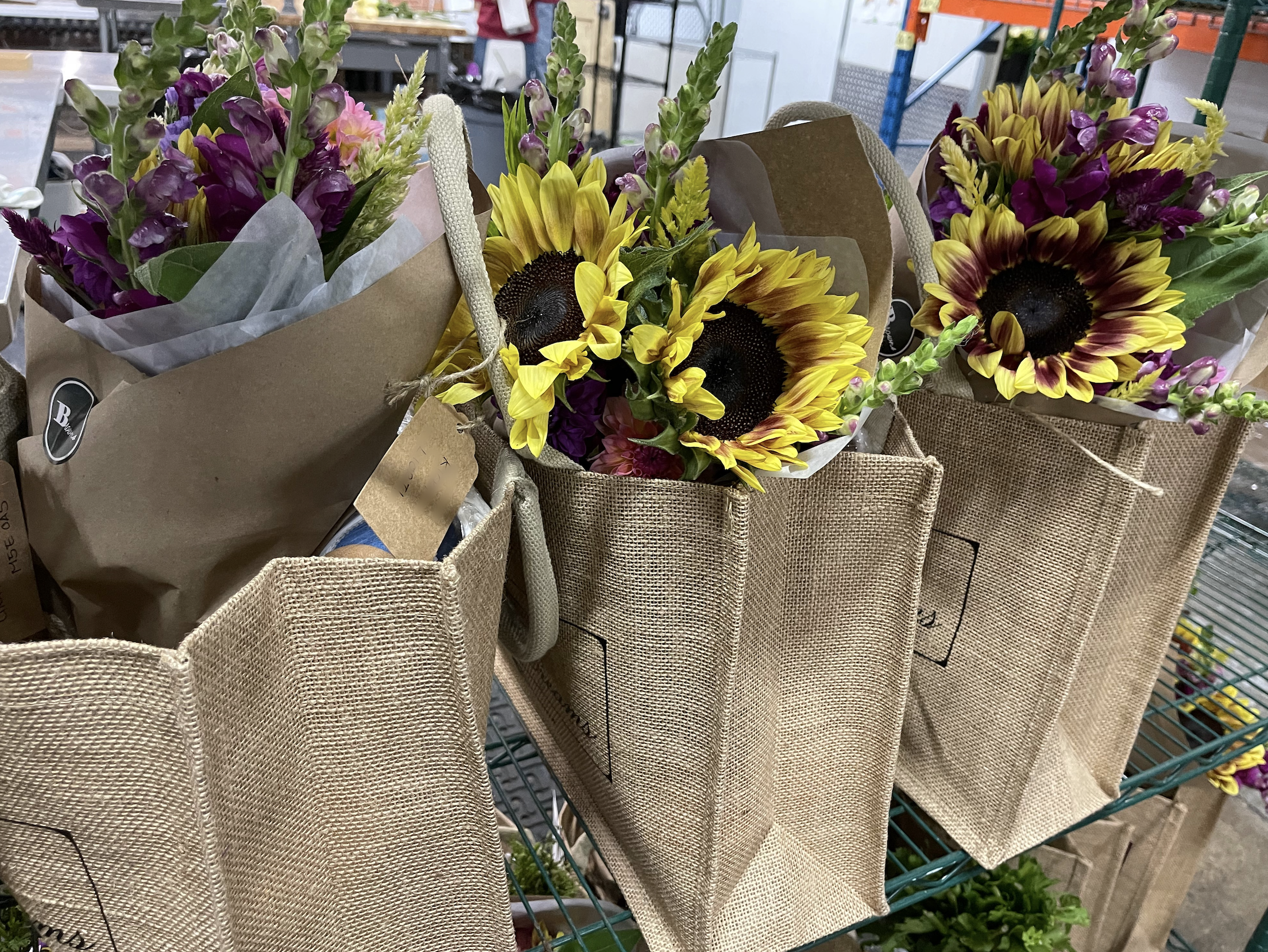 Screenshot 2026-01-21 at 13.11.20.png