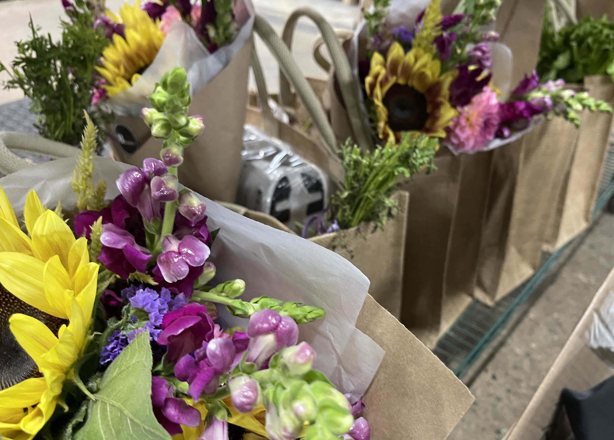 Screenshot 2026-01-21 at 13.16.03.png