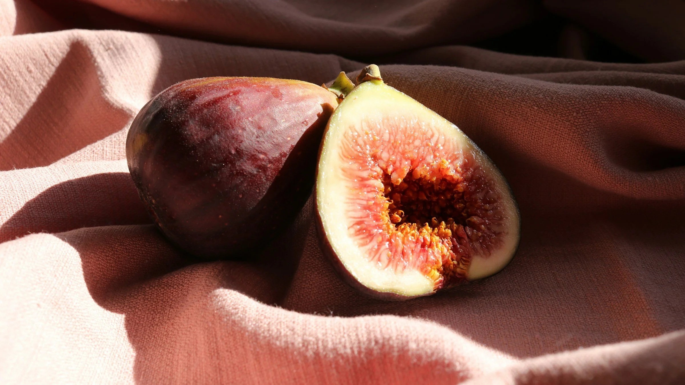 Le cycle menstruel, 5e signe vital