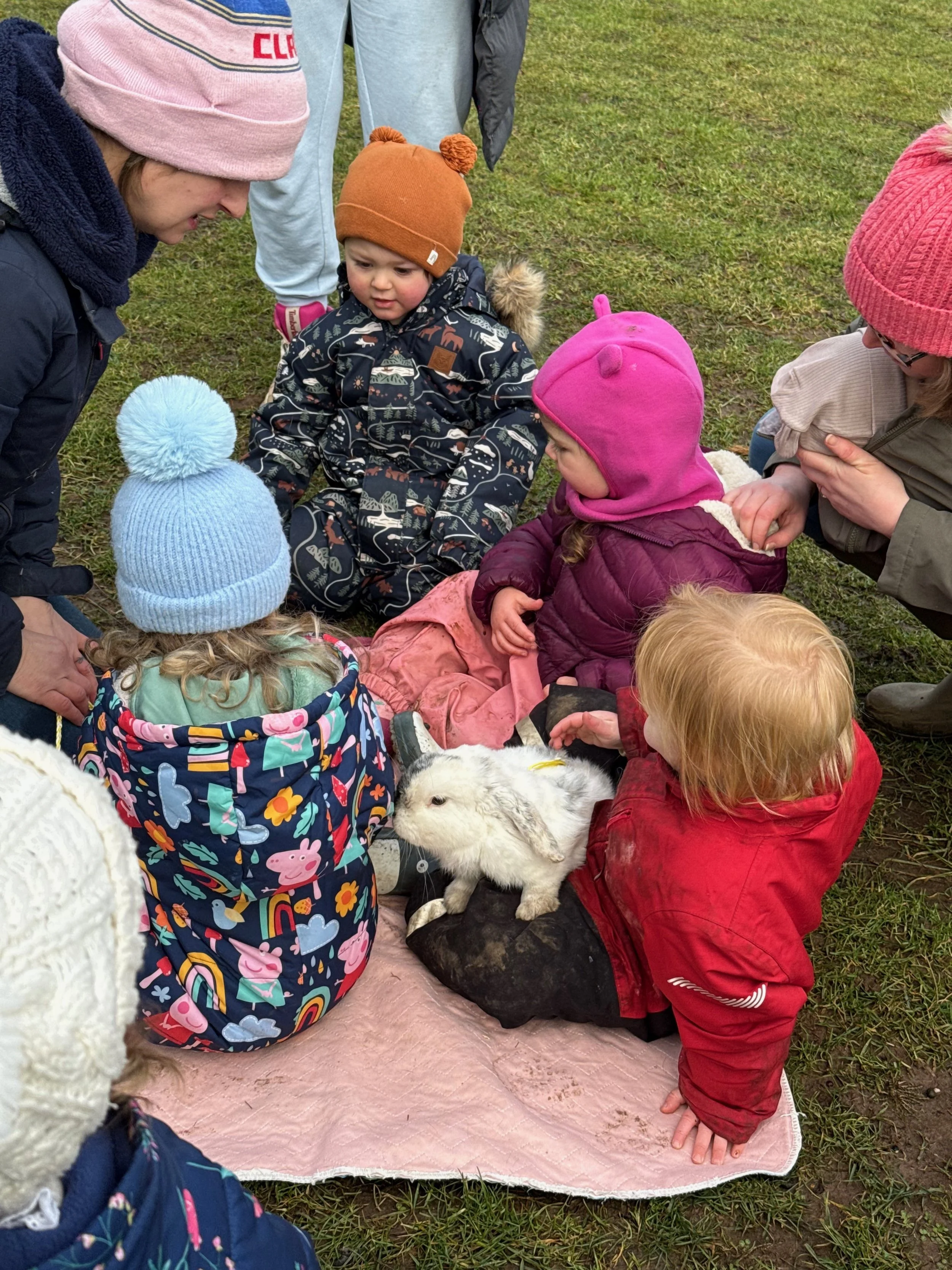 Children gathered around rabbit at forest school