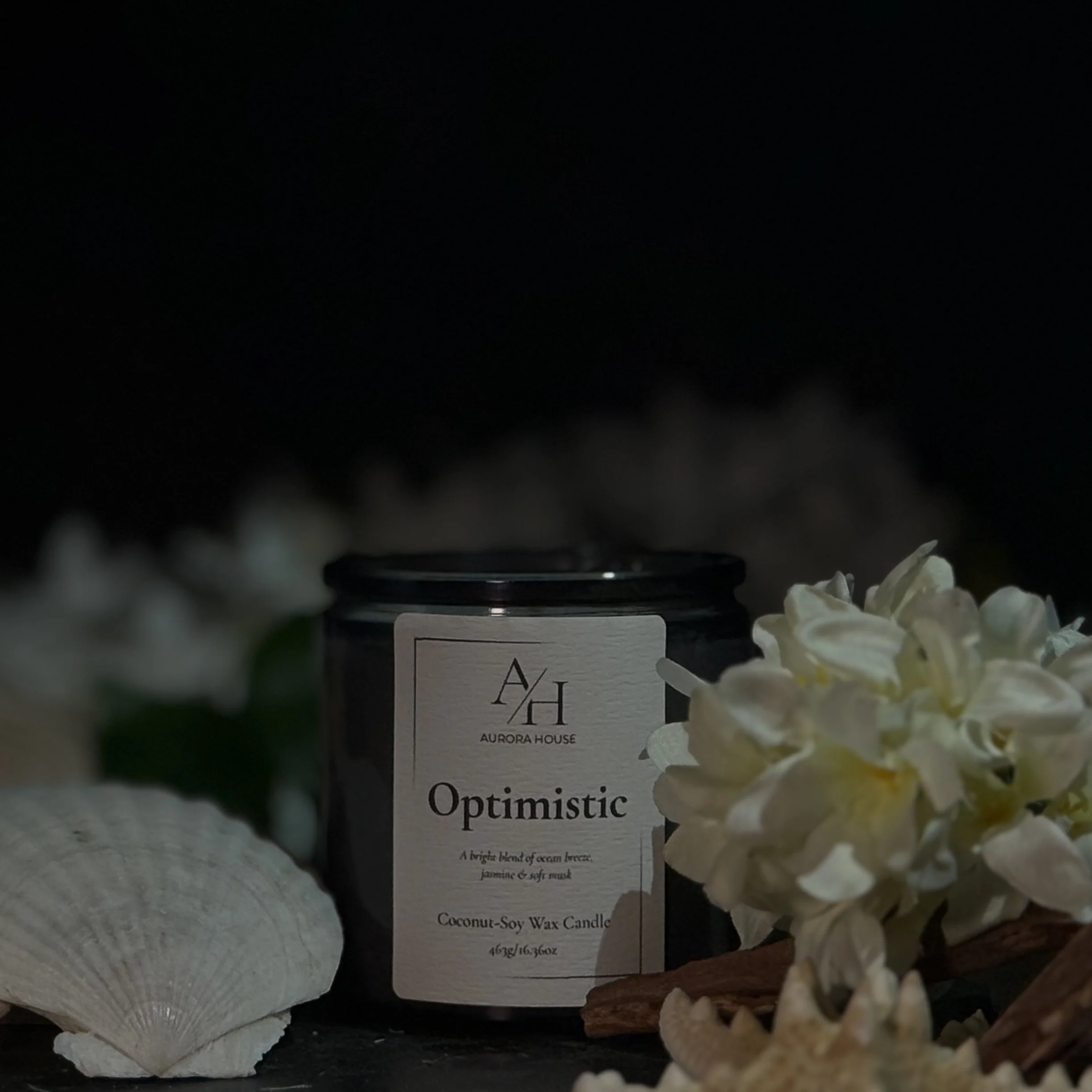 Aurora House 9oz candle Optimistic with shells and starfish with jasmine sprigs