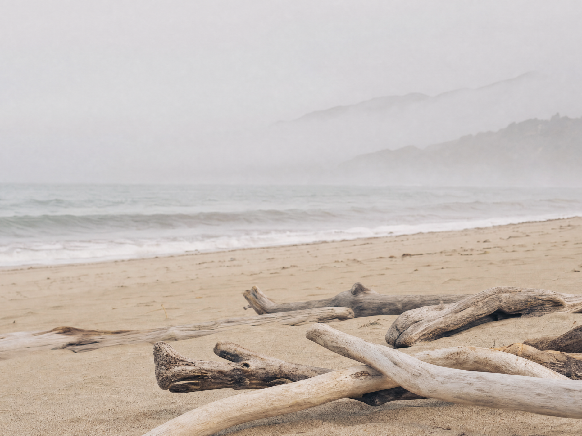 A foggy beach scene with driftwood on sandy shore, ocean waves, and mist-covered hills in the background.